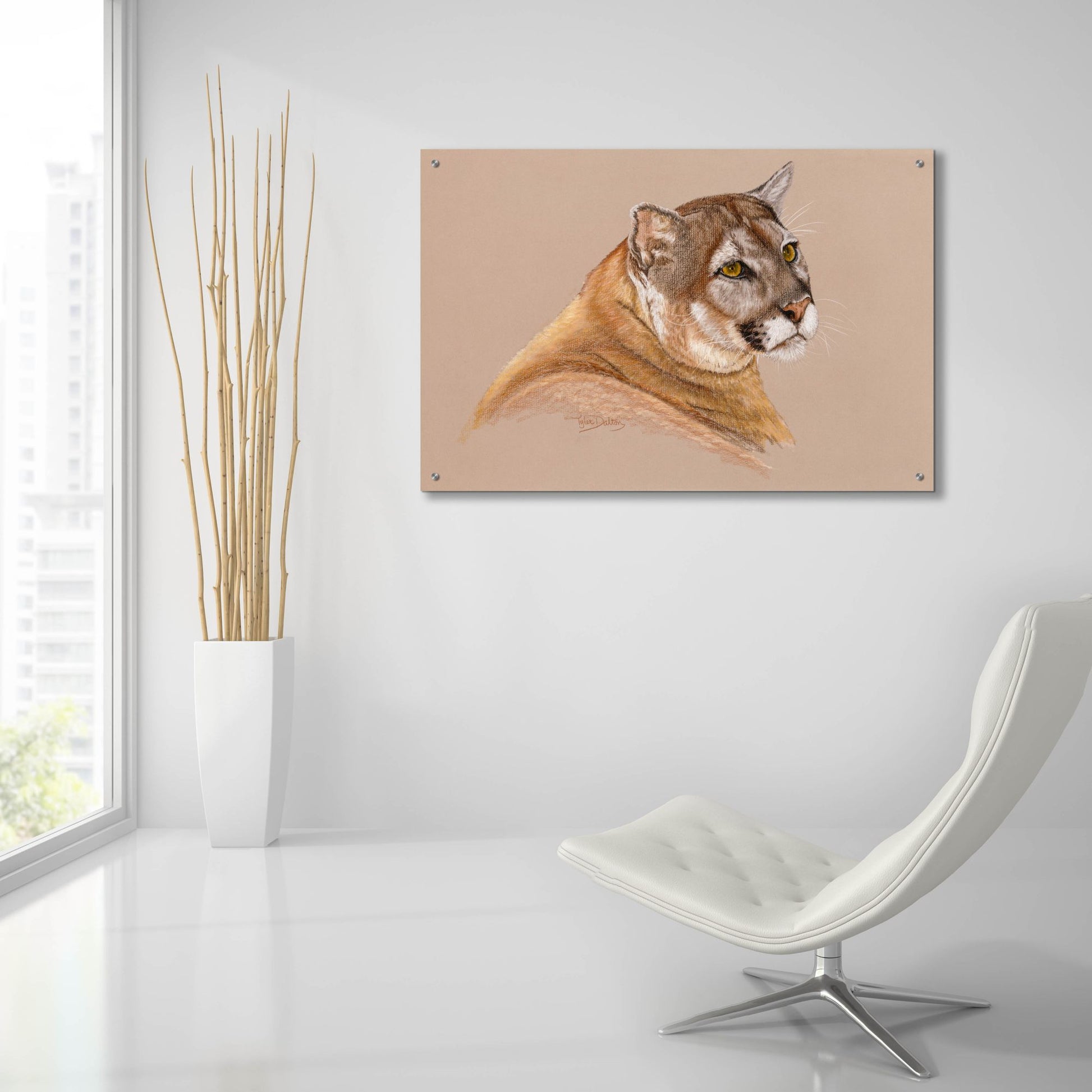 Epic Art 'Cougar' by Barbara Keith, Acrylic Glass Wall Art,36x24