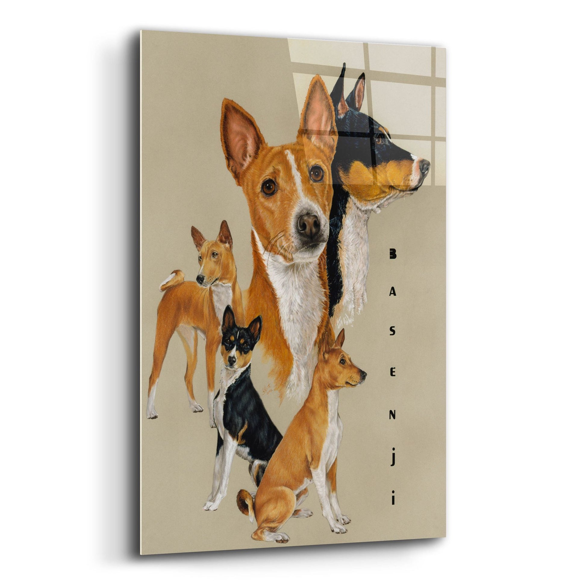 Epic Art 'Basenji' by Barbara Keith, Acrylic Glass Wall Art,12x16