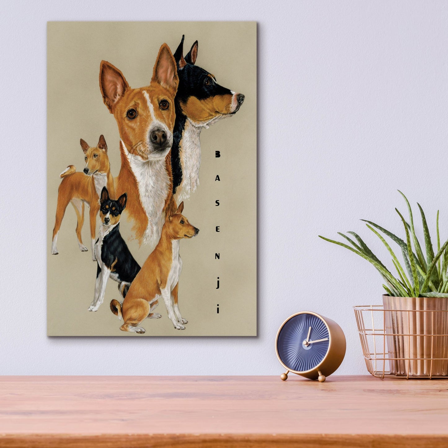 Epic Art 'Basenji' by Barbara Keith, Acrylic Glass Wall Art,12x16