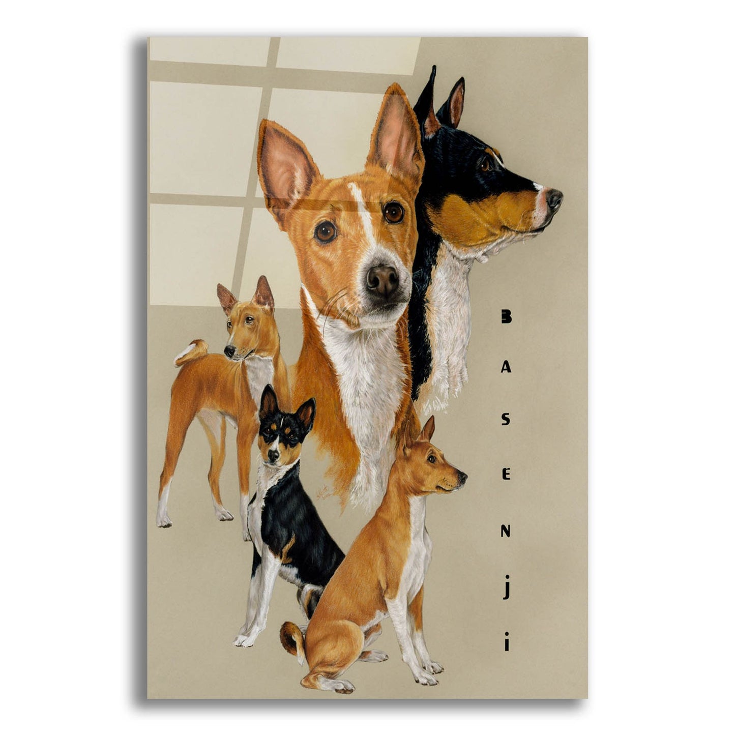 Epic Art 'Basenji' by Barbara Keith, Acrylic Glass Wall Art,12x16