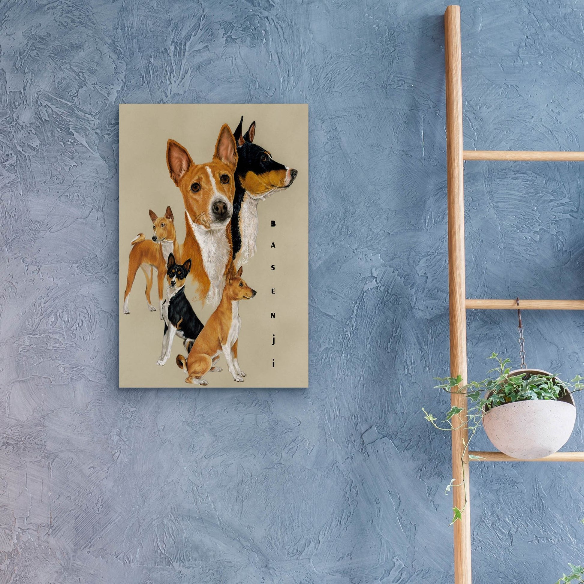 Epic Art 'Basenji' by Barbara Keith, Acrylic Glass Wall Art,16x24