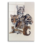 Absence Of Fear by Barbara Keith acrylic glass wall art
