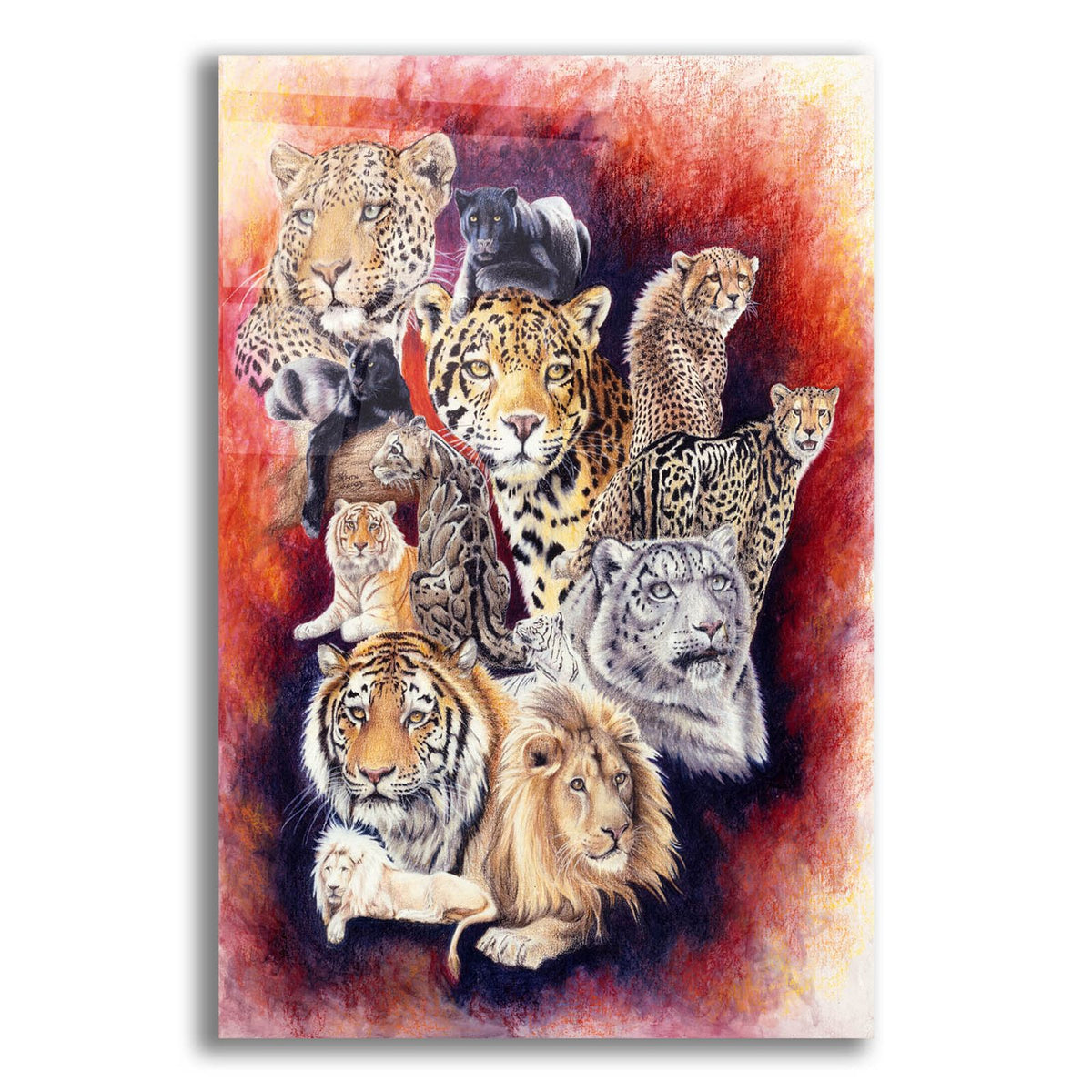 Baker's Dozen by Barbara Keith acrylic glass wall art