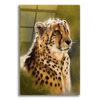 Morning's Glow by Barbara Keith acrylic glass wall art