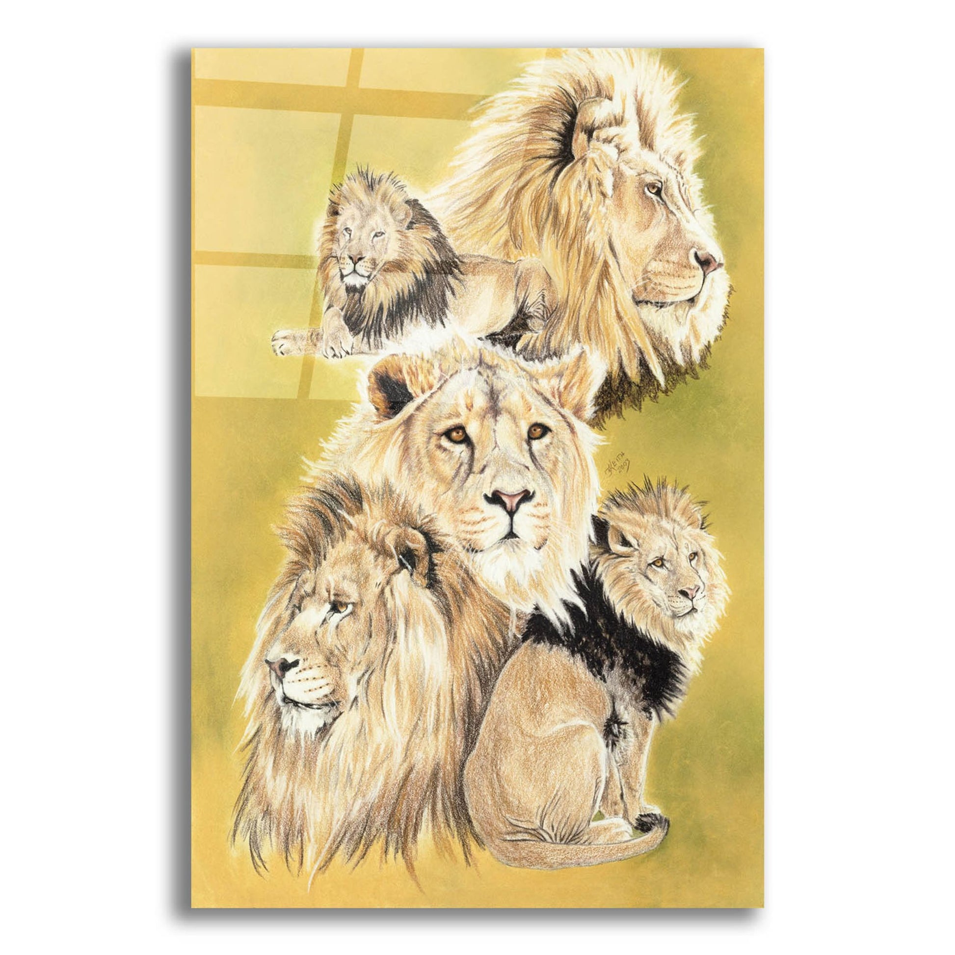 Epic Art 'Royality' by Barbara Keith, Acrylic Glass Wall Art,12x16