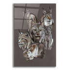 Rogue by Barbara Keith acrylic glass wall art