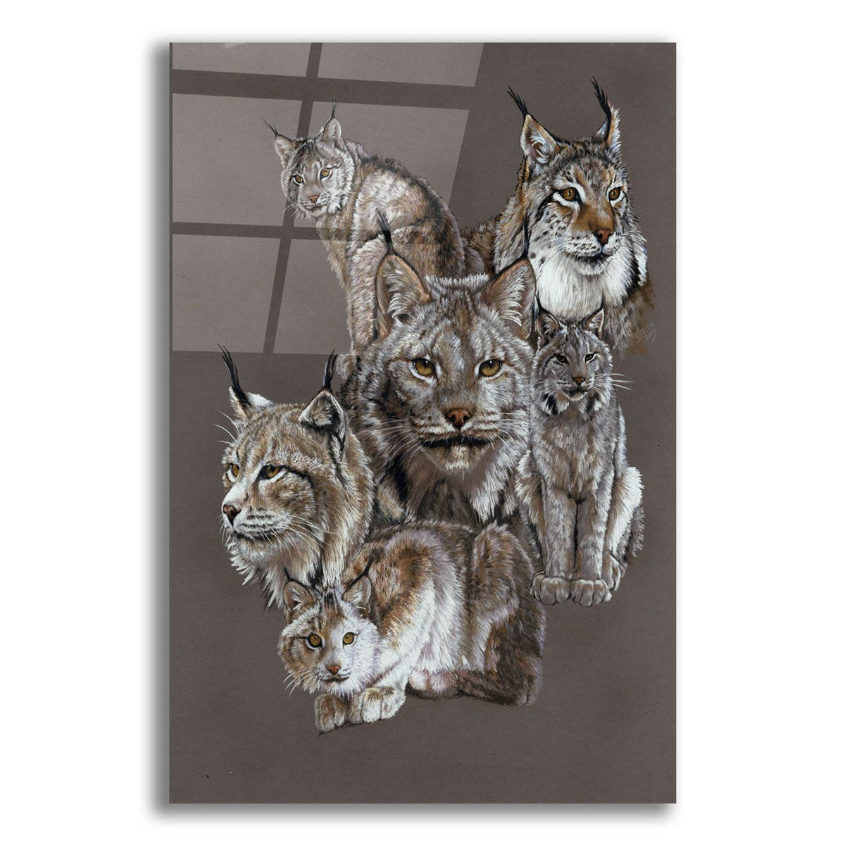 Rogue by Barbara Keith acrylic glass wall art