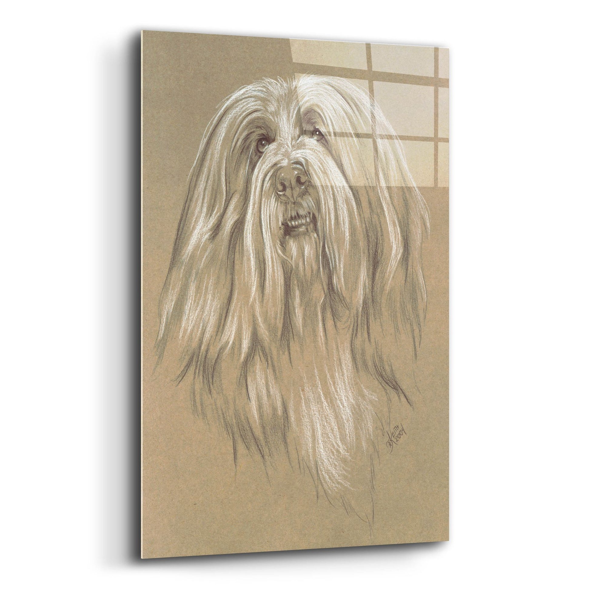 Epic Art 'Bearded Collie' by Barbara Keith, Acrylic Glass Wall Art,12x16