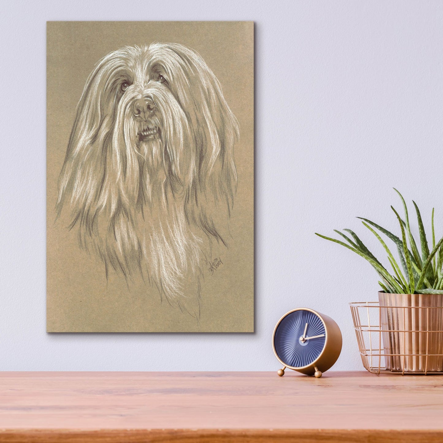 Epic Art 'Bearded Collie' by Barbara Keith, Acrylic Glass Wall Art,12x16