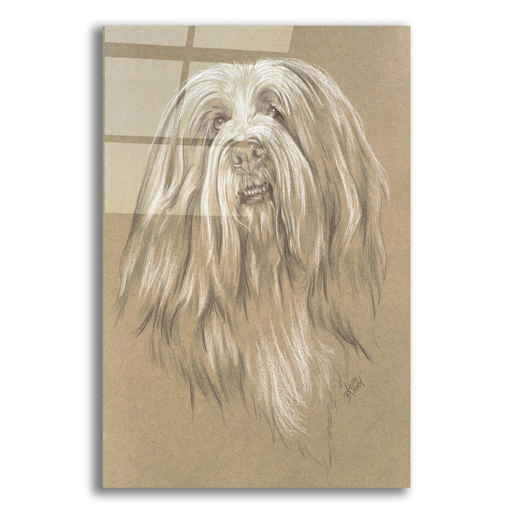 Epic Art 'Bearded Collie' by Barbara Keith, Acrylic Glass Wall Art,12x16