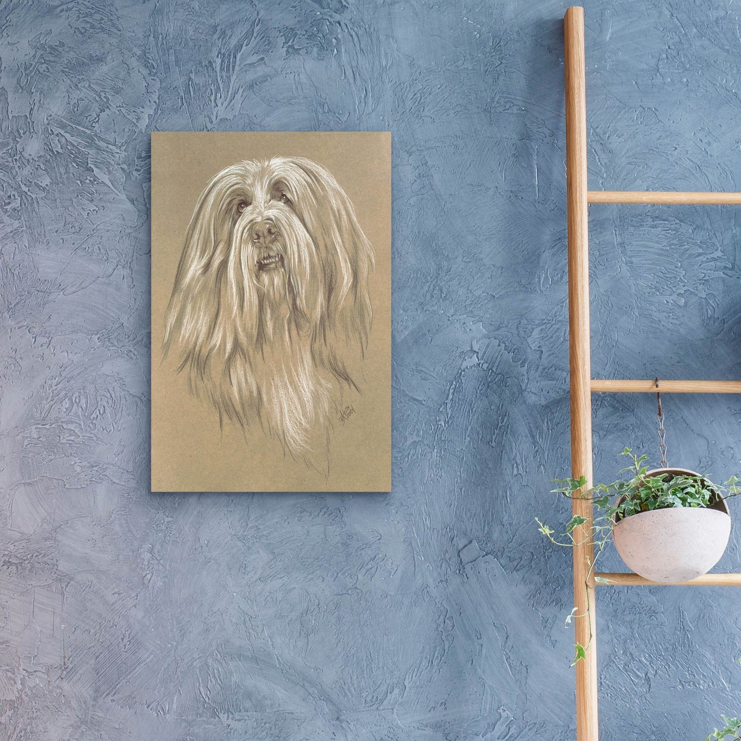 Epic Art 'Bearded Collie' by Barbara Keith, Acrylic Glass Wall Art,16x24