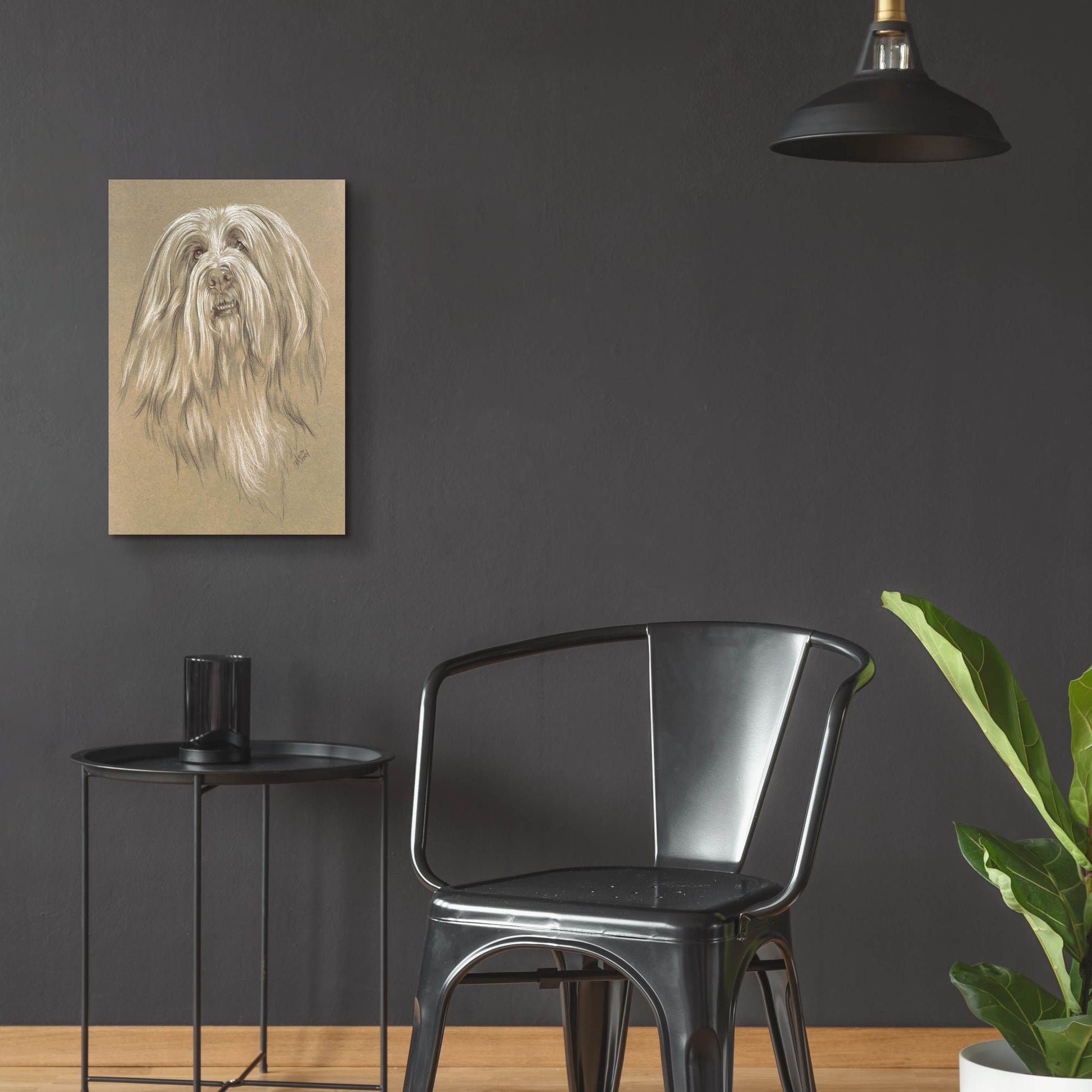 Epic Art 'Bearded Collie' by Barbara Keith, Acrylic Glass Wall Art,16x24