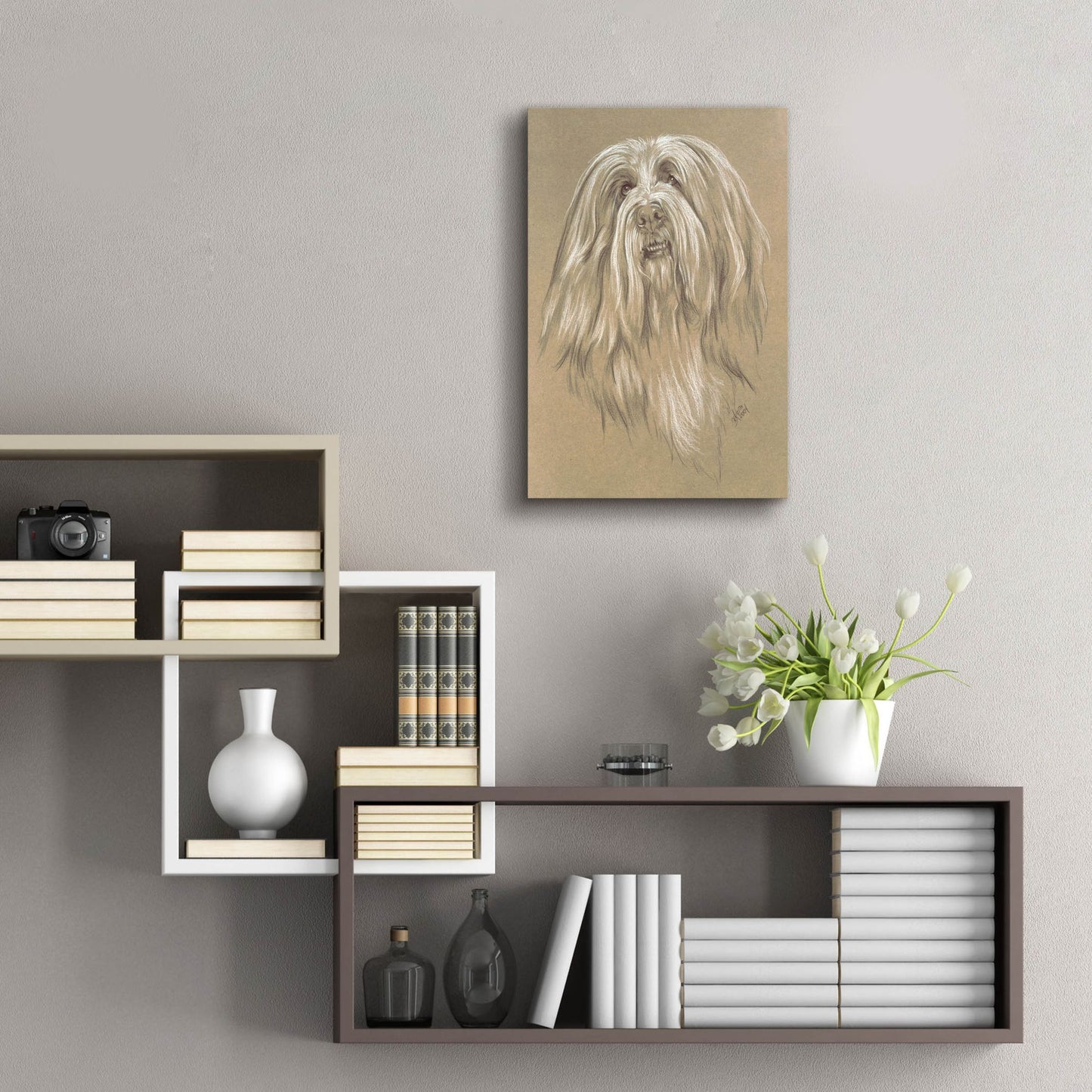 Epic Art 'Bearded Collie' by Barbara Keith, Acrylic Glass Wall Art,16x24