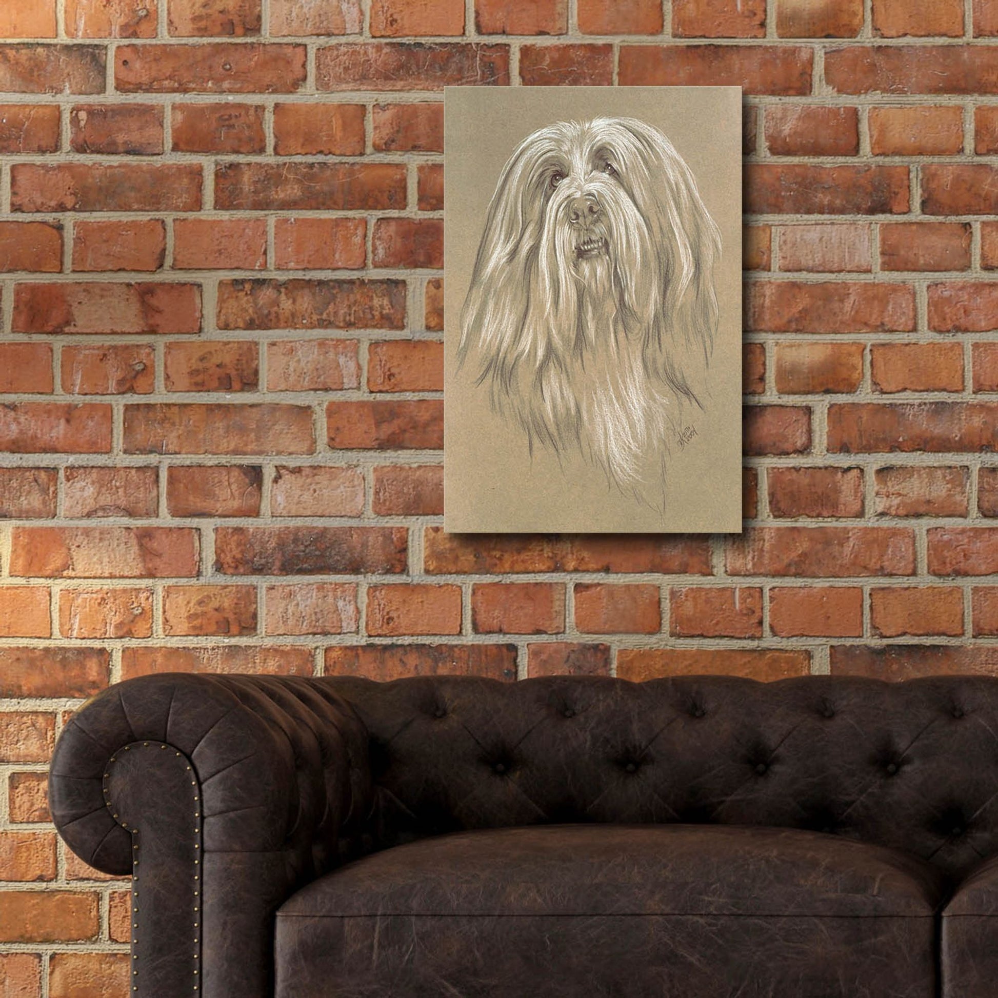 Epic Art 'Bearded Collie' by Barbara Keith, Acrylic Glass Wall Art,16x24