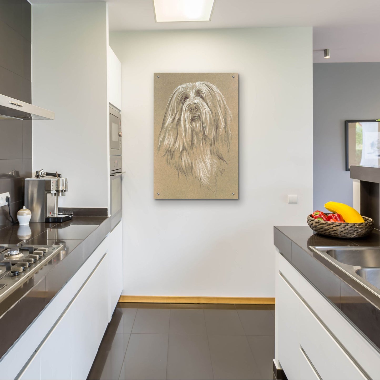 Epic Art 'Bearded Collie' by Barbara Keith, Acrylic Glass Wall Art,24x36