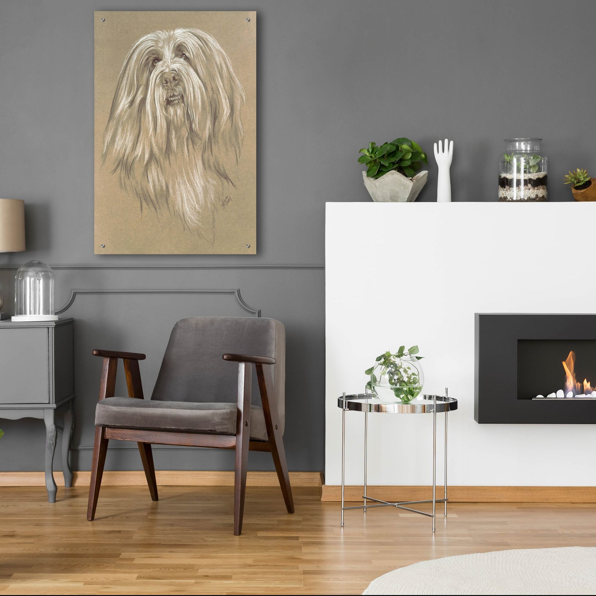 Epic Art 'Bearded Collie' by Barbara Keith, Acrylic Glass Wall Art,24x36