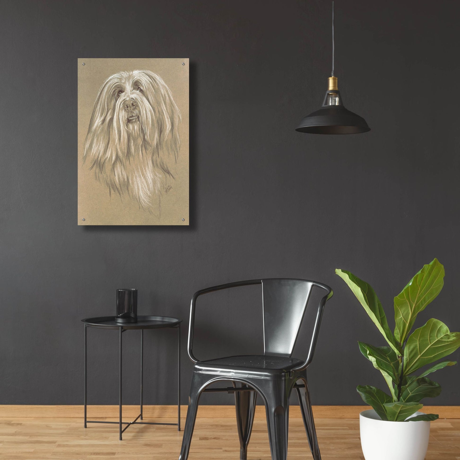 Epic Art 'Bearded Collie' by Barbara Keith, Acrylic Glass Wall Art,24x36