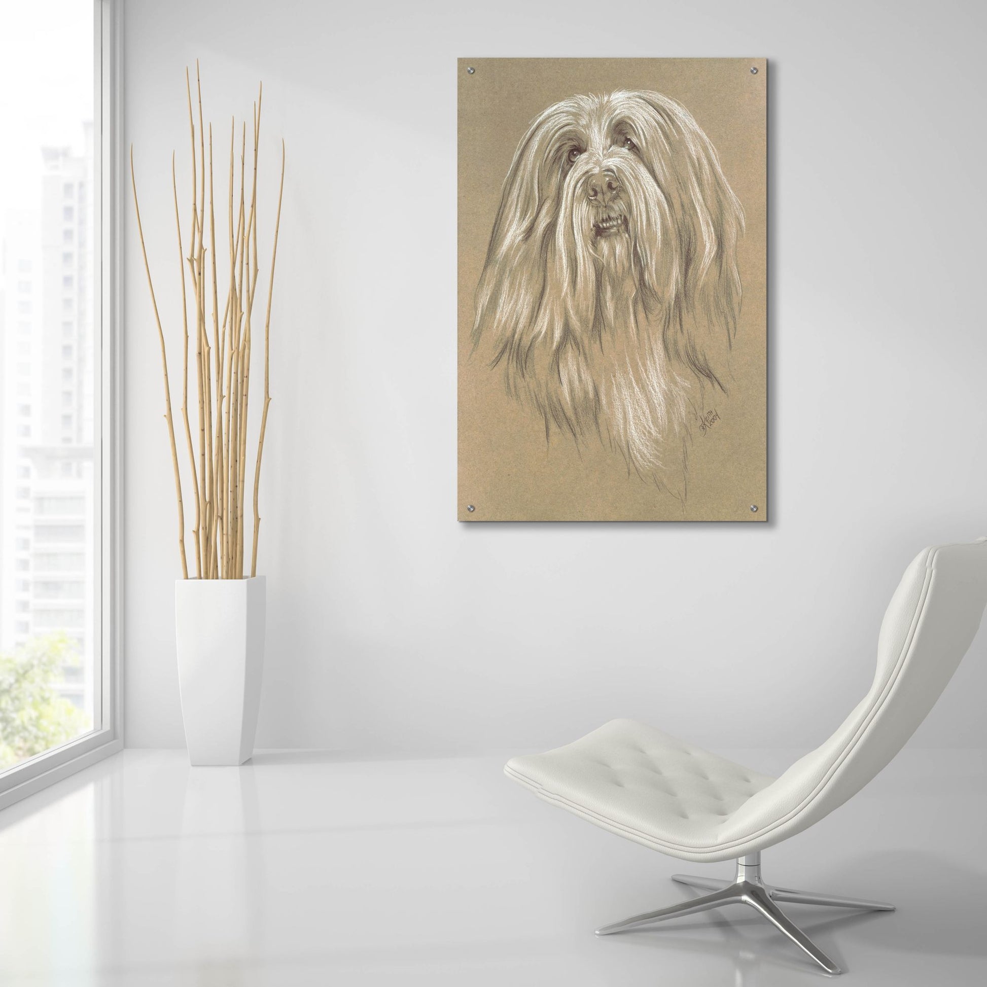 Epic Art 'Bearded Collie' by Barbara Keith, Acrylic Glass Wall Art,24x36