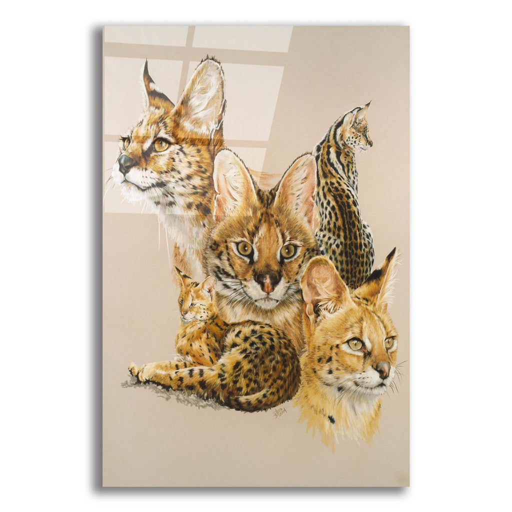 Adroit by Barbara Keith acrylic glass wall art
