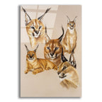 Whimsey by Barbara Keith acrylic glass wall art