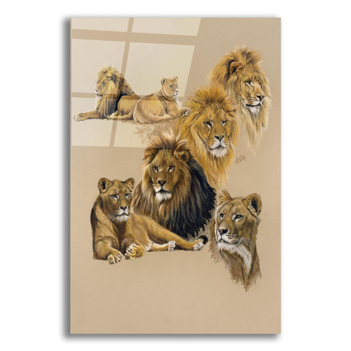 Golden Days by Barbara Keith acrylic glass wall art