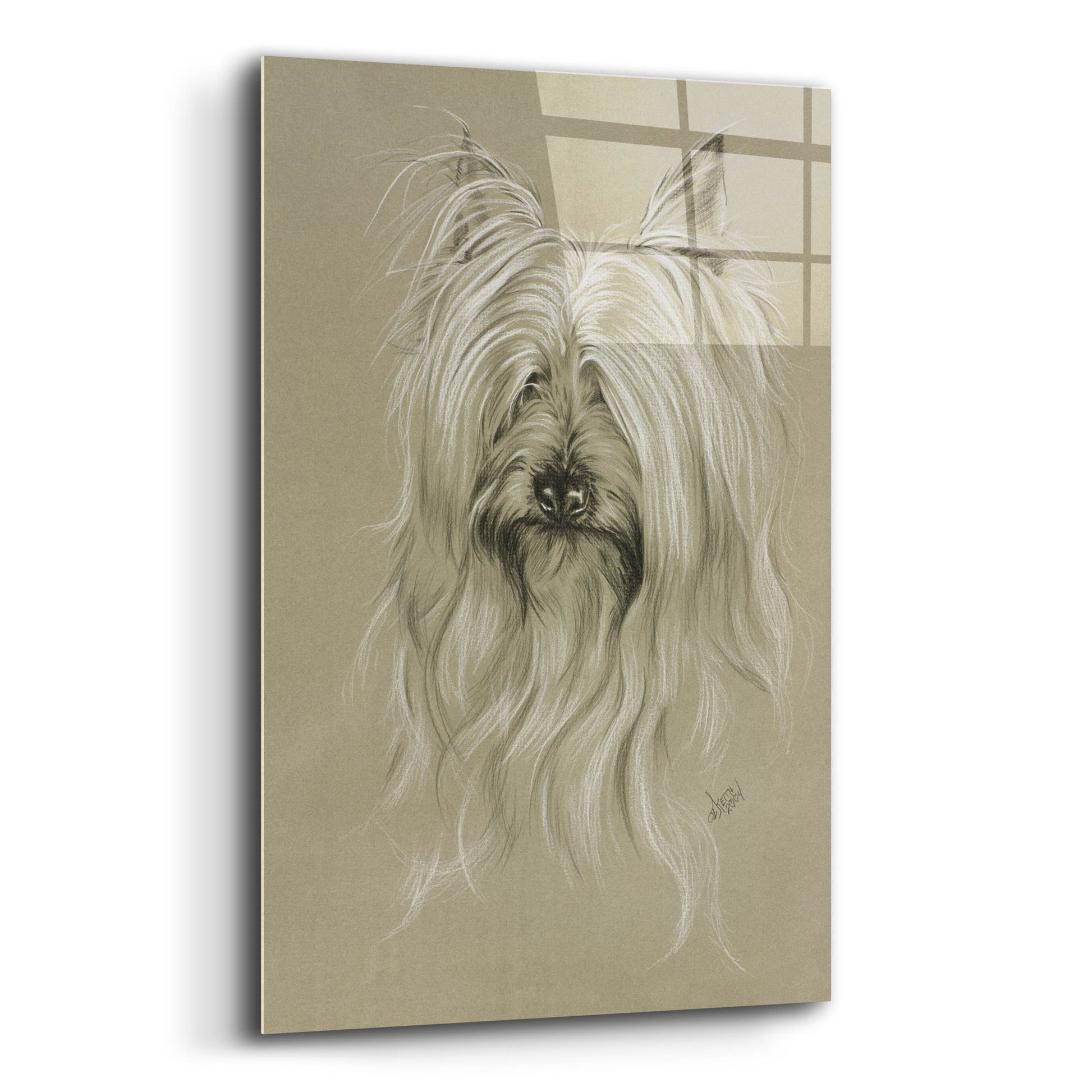 Epic Art 'Silky Terrier' by Barbara Keith, Acrylic Glass Wall Art,12x16