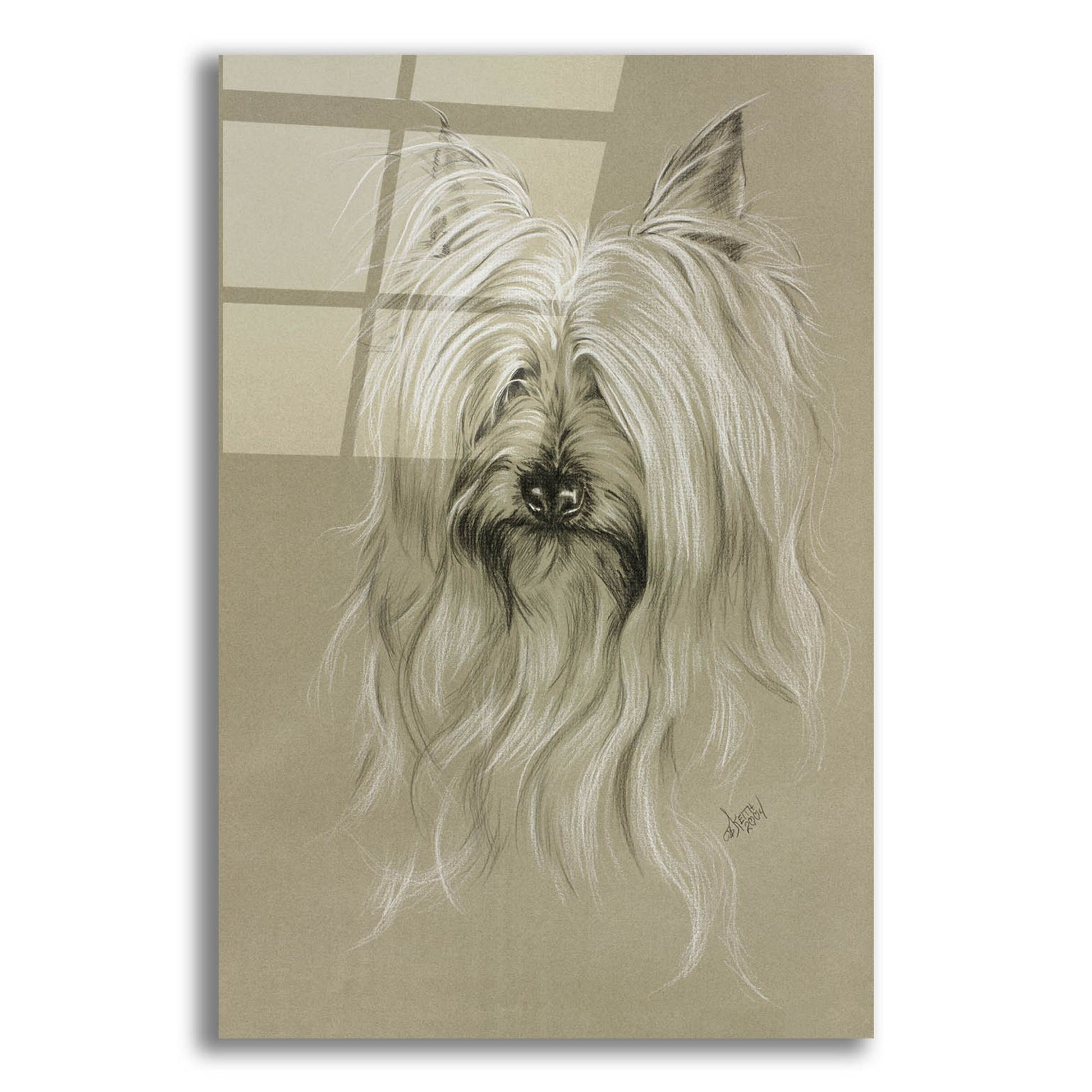 Epic Art 'Silky Terrier' by Barbara Keith, Acrylic Glass Wall Art,12x16