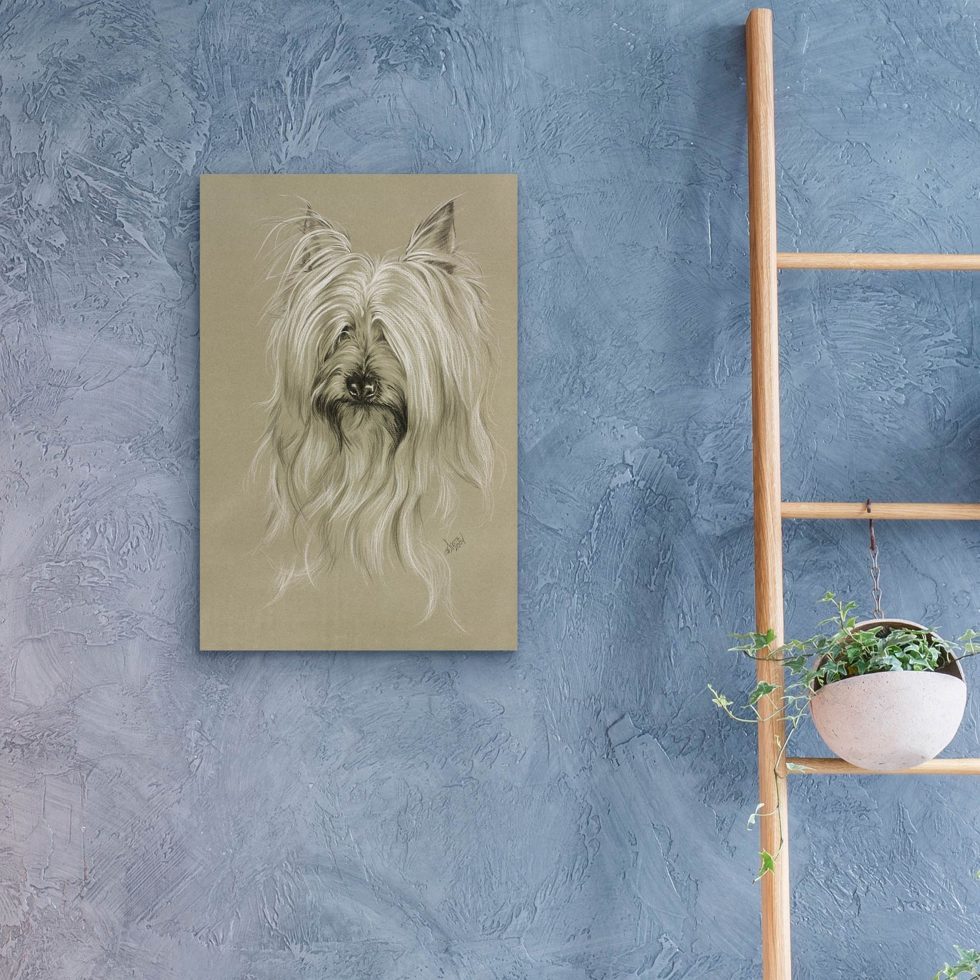 Epic Art 'Silky Terrier' by Barbara Keith, Acrylic Glass Wall Art,16x24