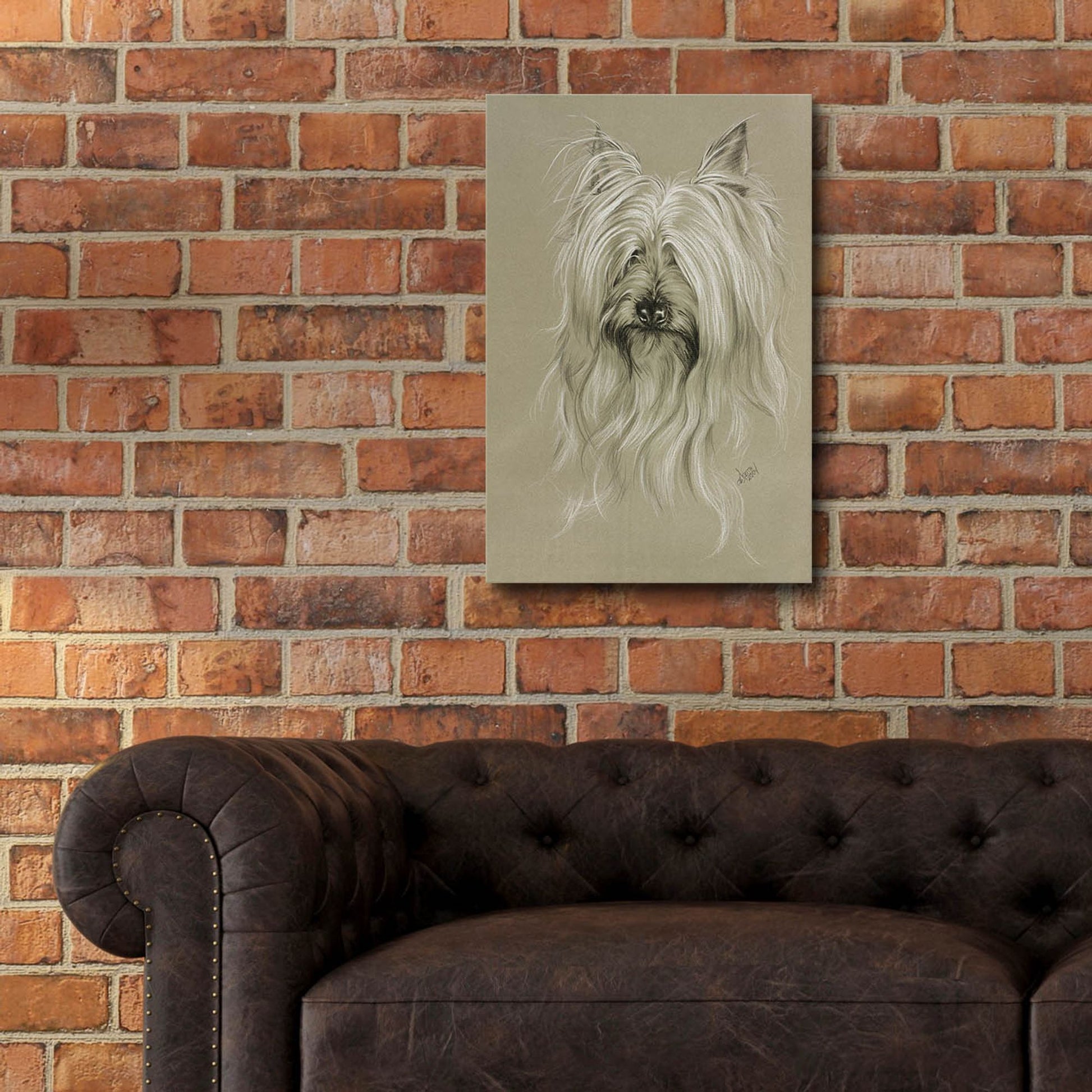 Epic Art 'Silky Terrier' by Barbara Keith, Acrylic Glass Wall Art,16x24