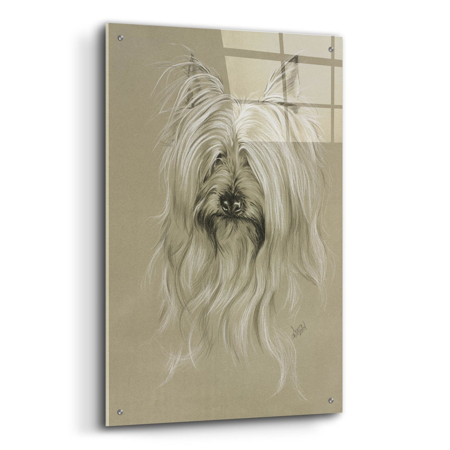 Epic Art 'Silky Terrier' by Barbara Keith, Acrylic Glass Wall Art,24x36