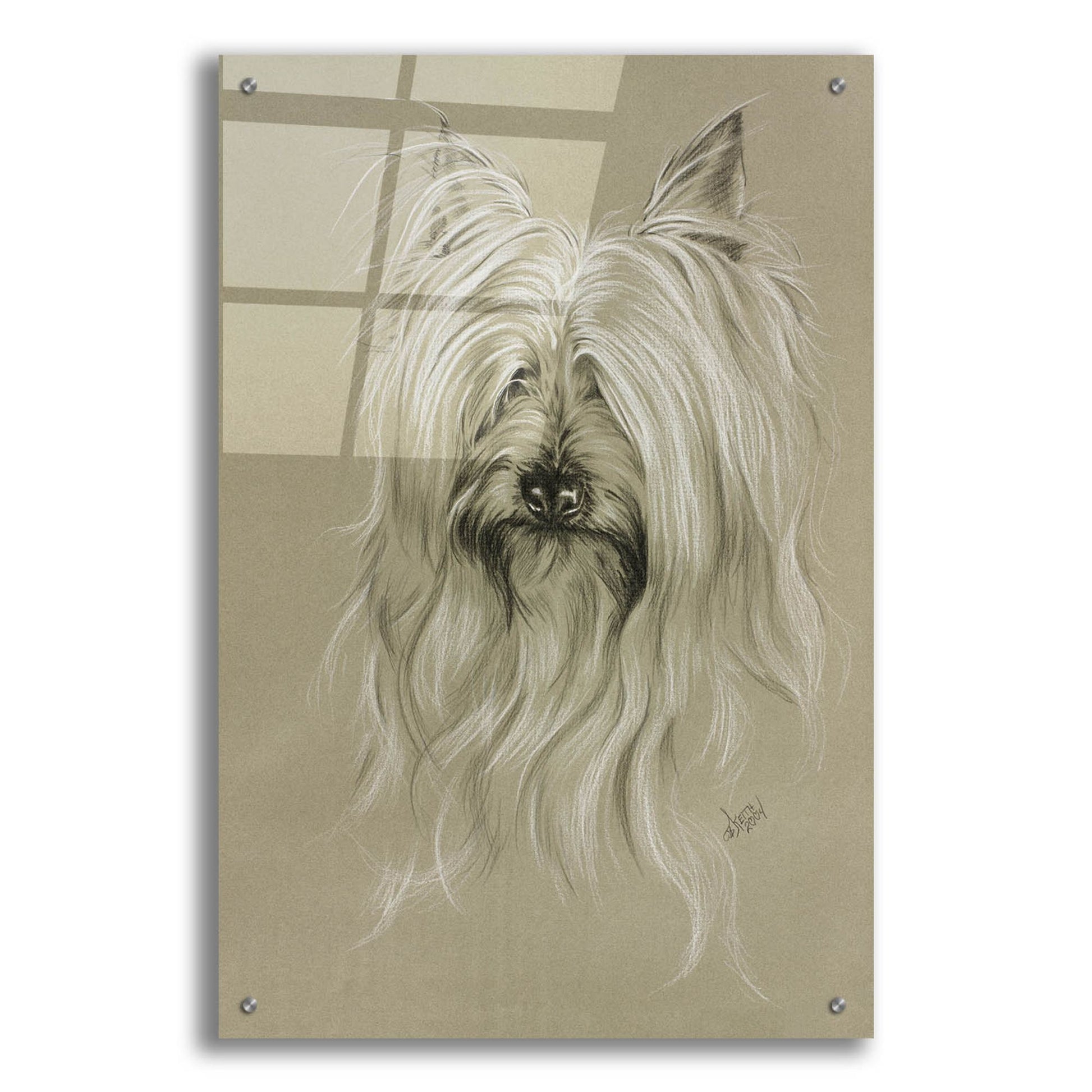 Epic Art 'Silky Terrier' by Barbara Keith, Acrylic Glass Wall Art,24x36