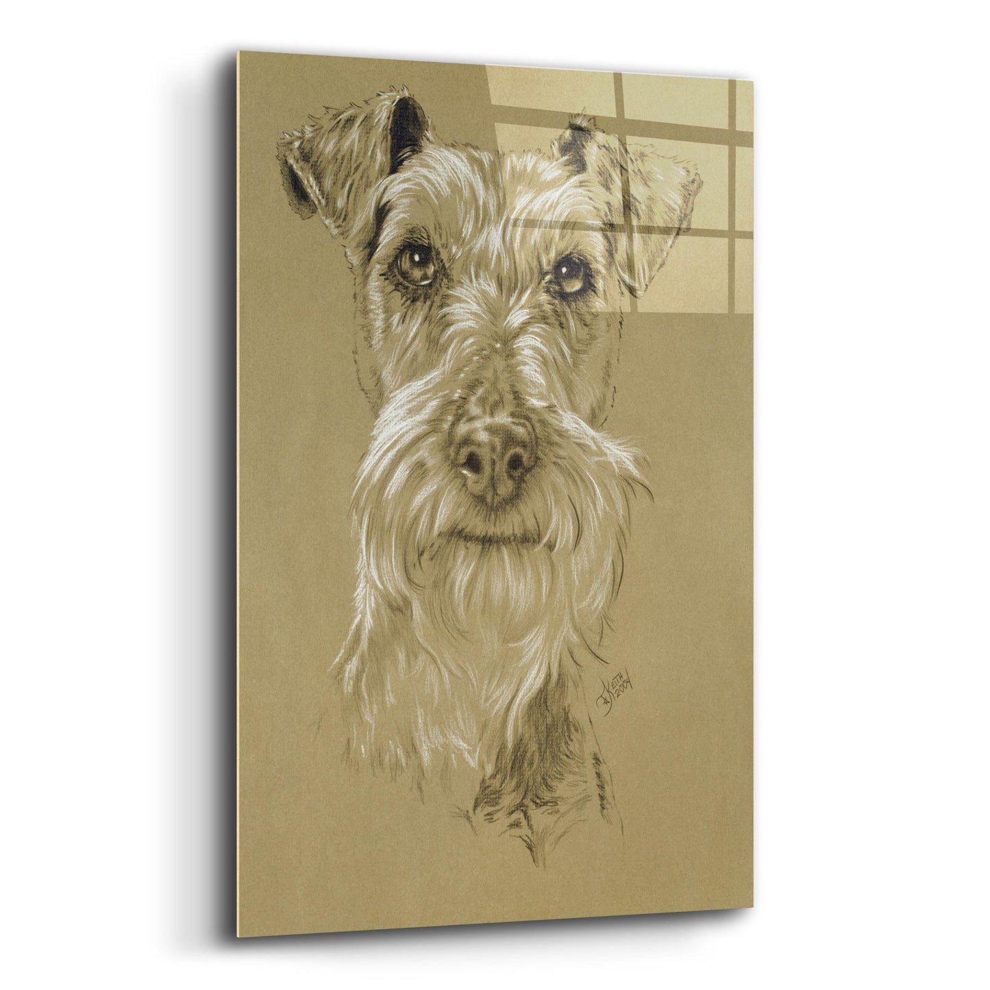 Epic Art 'Irish Terrier' by Barbara Keith, Acrylic Glass Wall Art,12x16