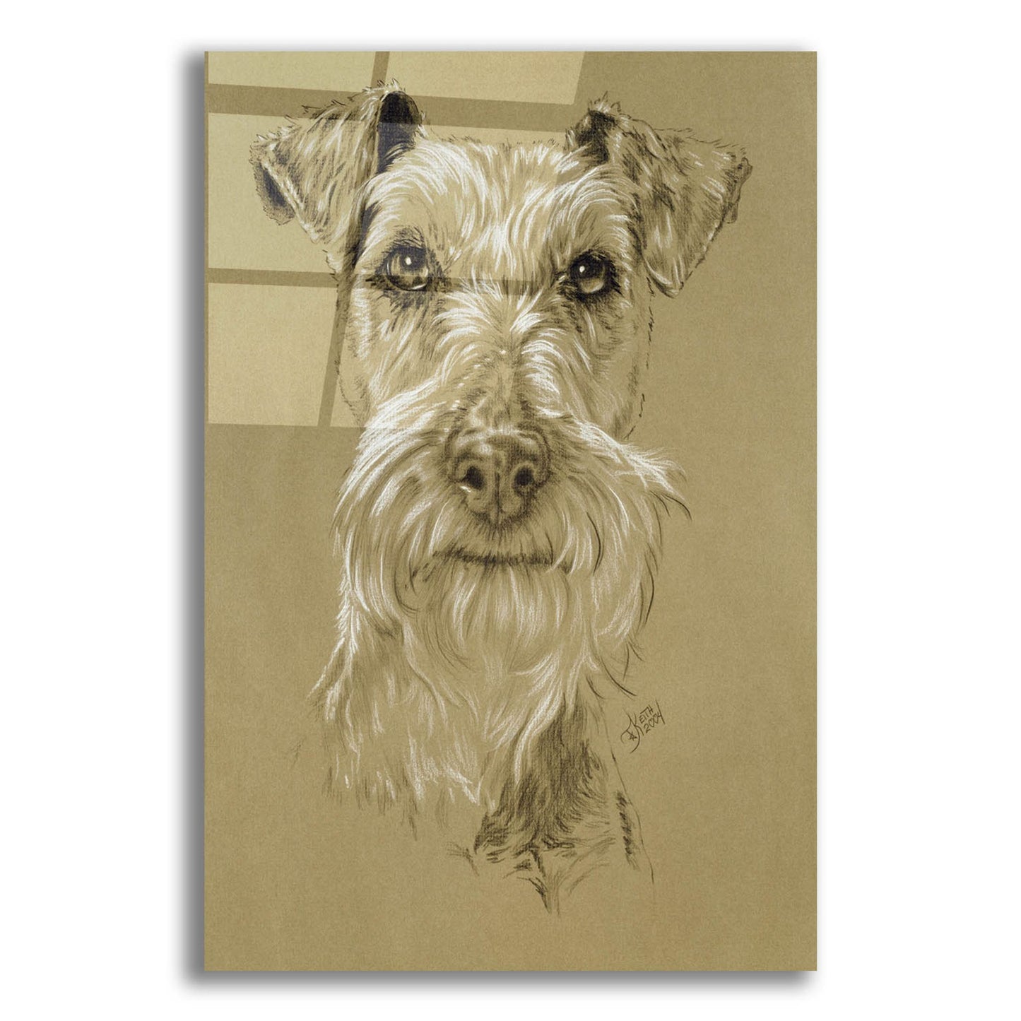 Epic Art 'Irish Terrier' by Barbara Keith, Acrylic Glass Wall Art,12x16