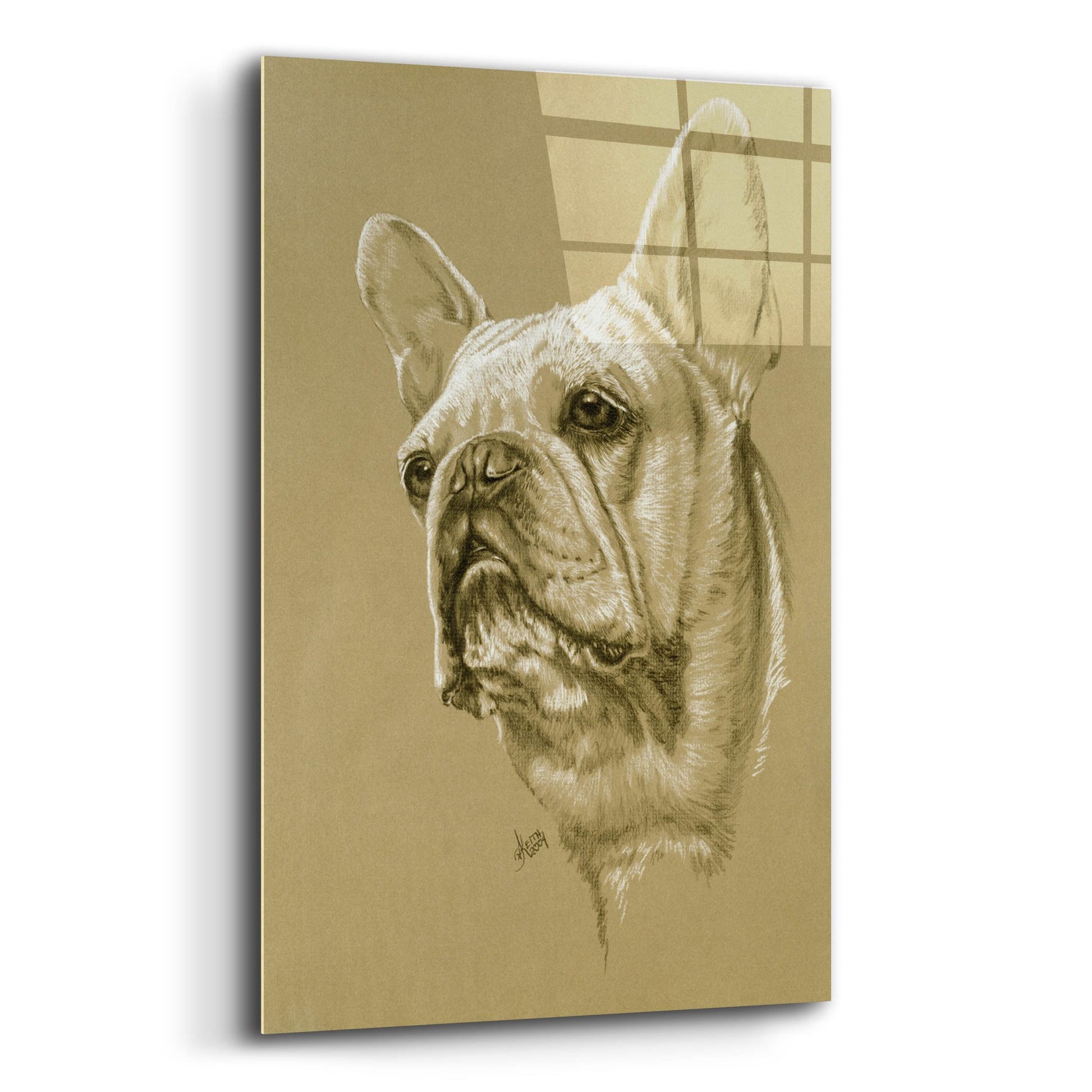 Epic Art 'French Bulldog' by Barbara Keith, Acrylic Glass Wall Art,12x16