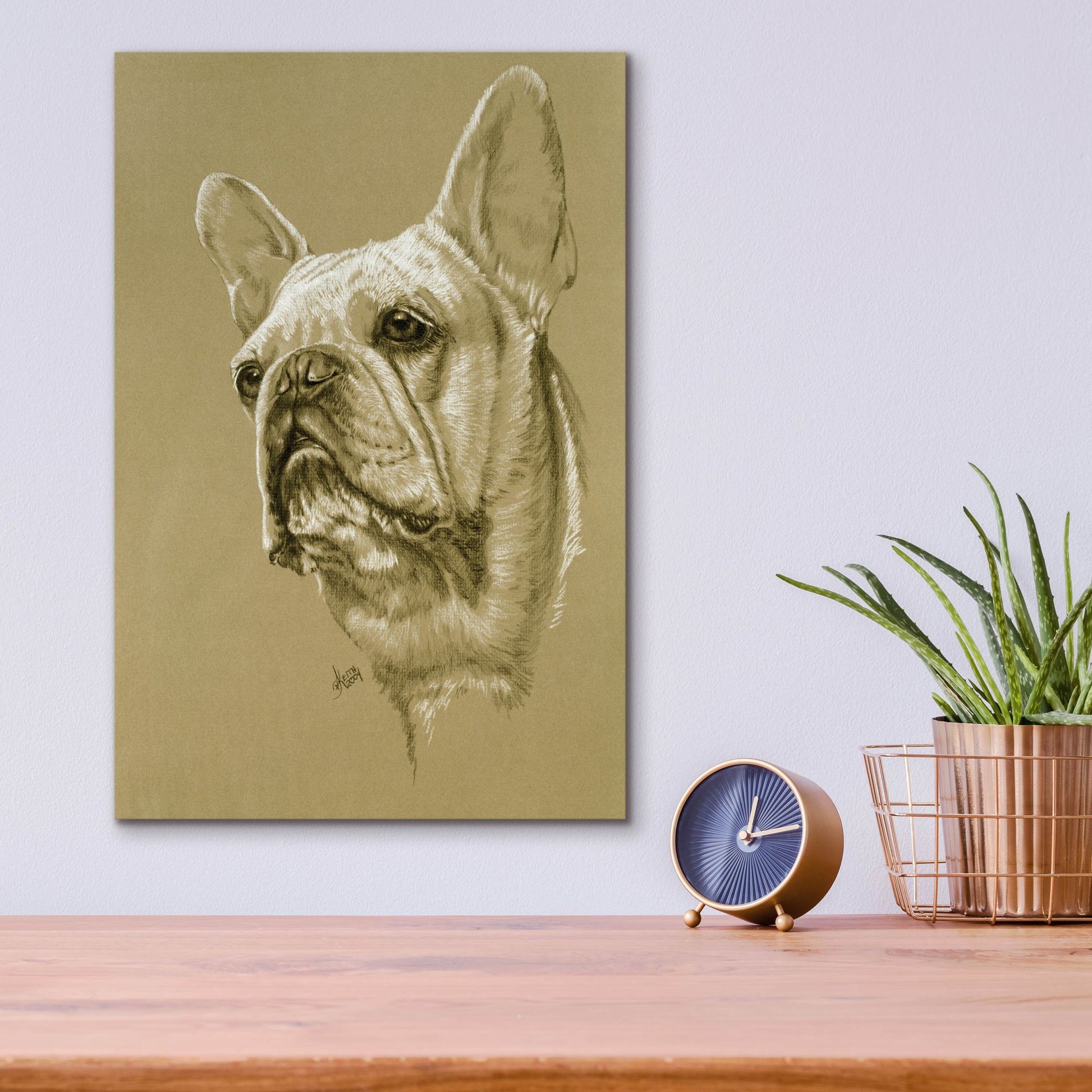 Epic Art 'French Bulldog' by Barbara Keith, Acrylic Glass Wall Art,12x16