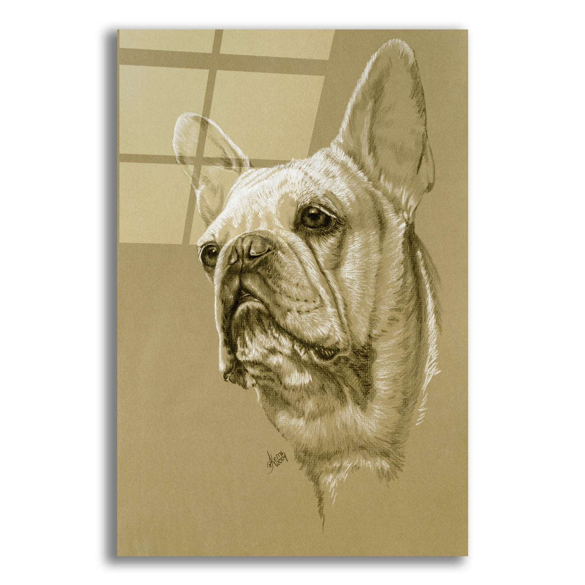 Epic Art 'French Bulldog' by Barbara Keith, Acrylic Glass Wall Art,12x16