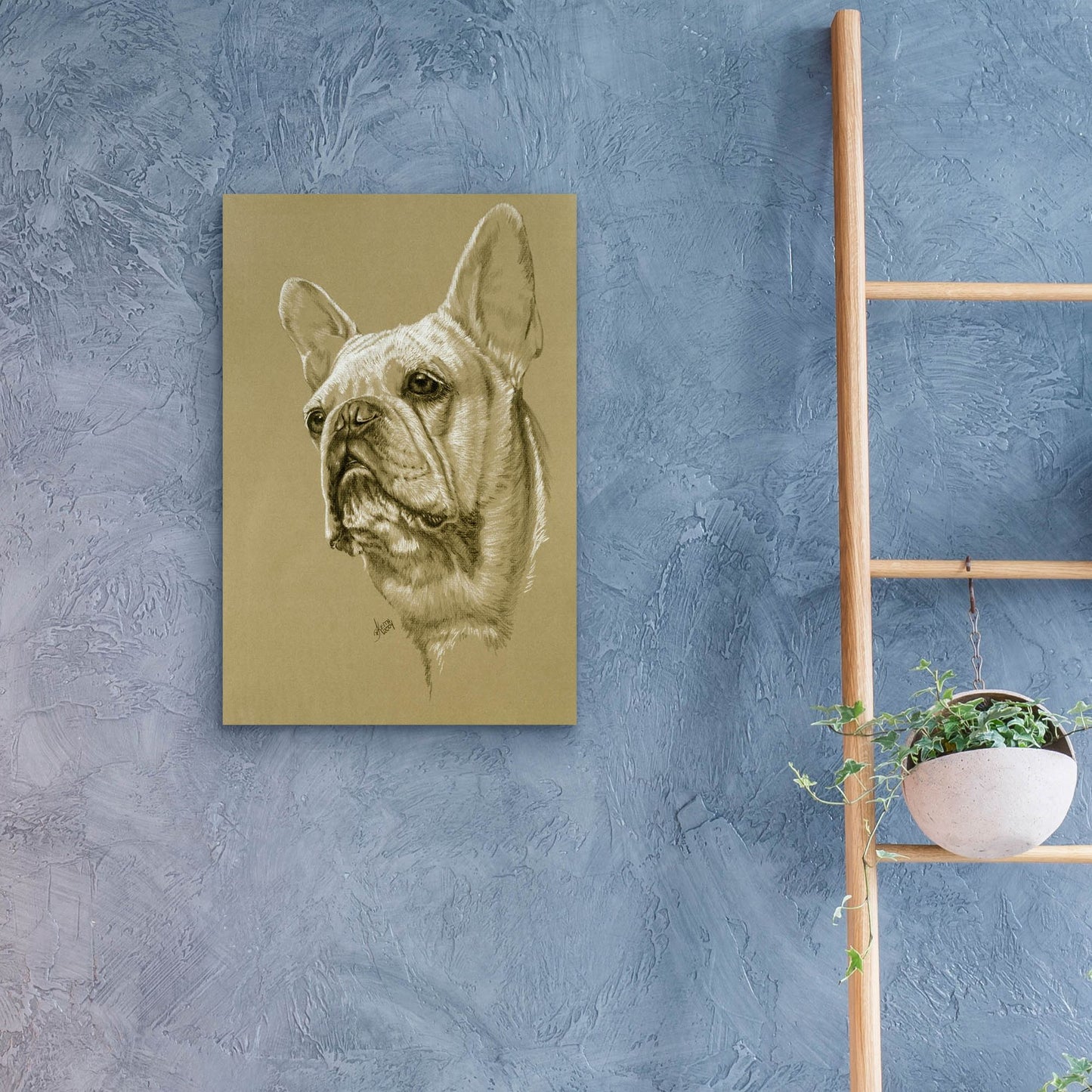 Epic Art 'French Bulldog' by Barbara Keith, Acrylic Glass Wall Art,16x24