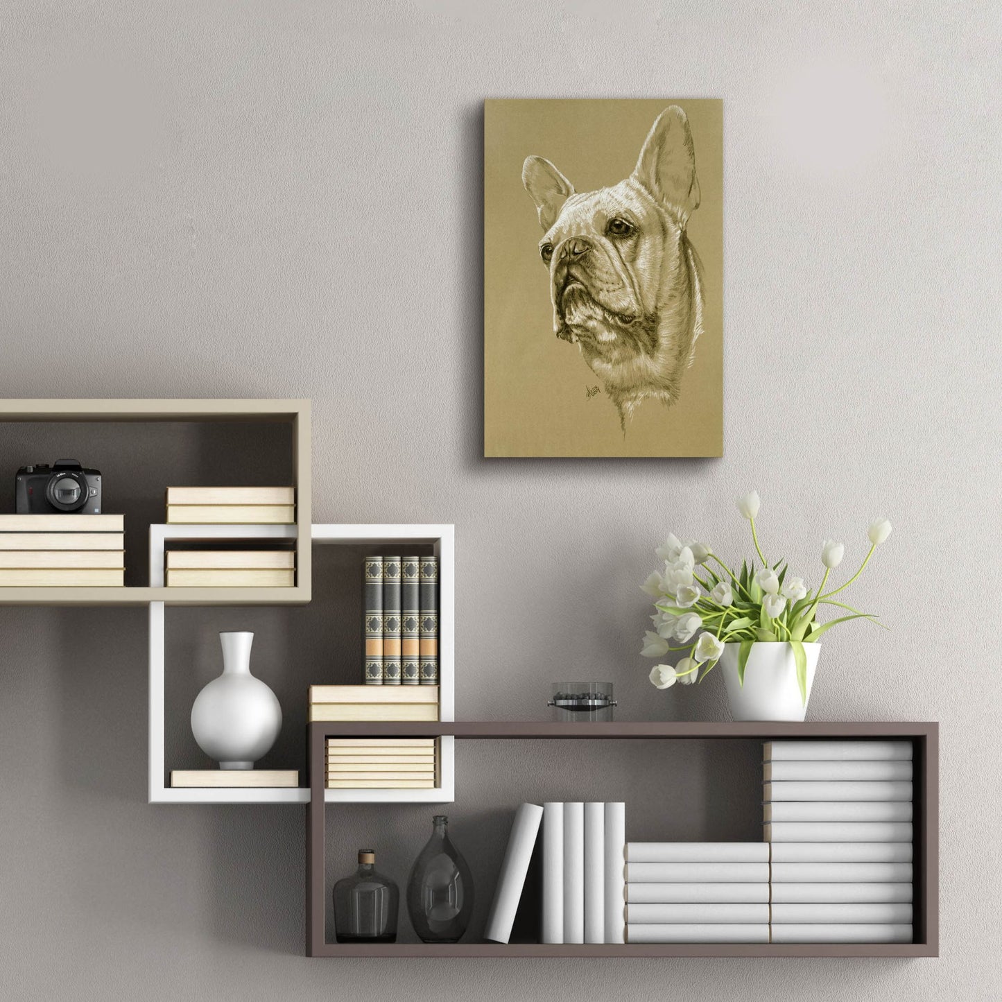 Epic Art 'French Bulldog' by Barbara Keith, Acrylic Glass Wall Art,16x24