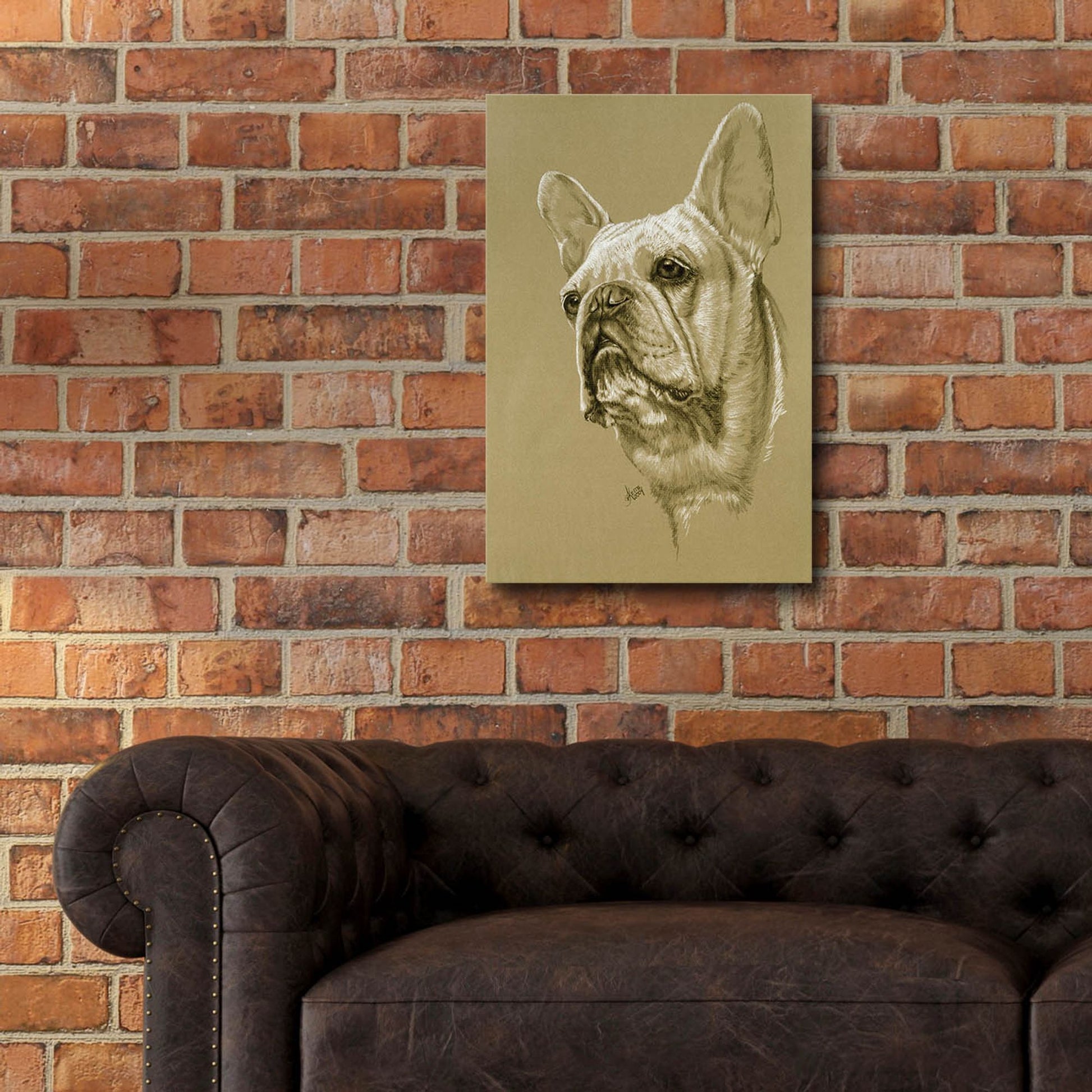 Epic Art 'French Bulldog' by Barbara Keith, Acrylic Glass Wall Art,16x24