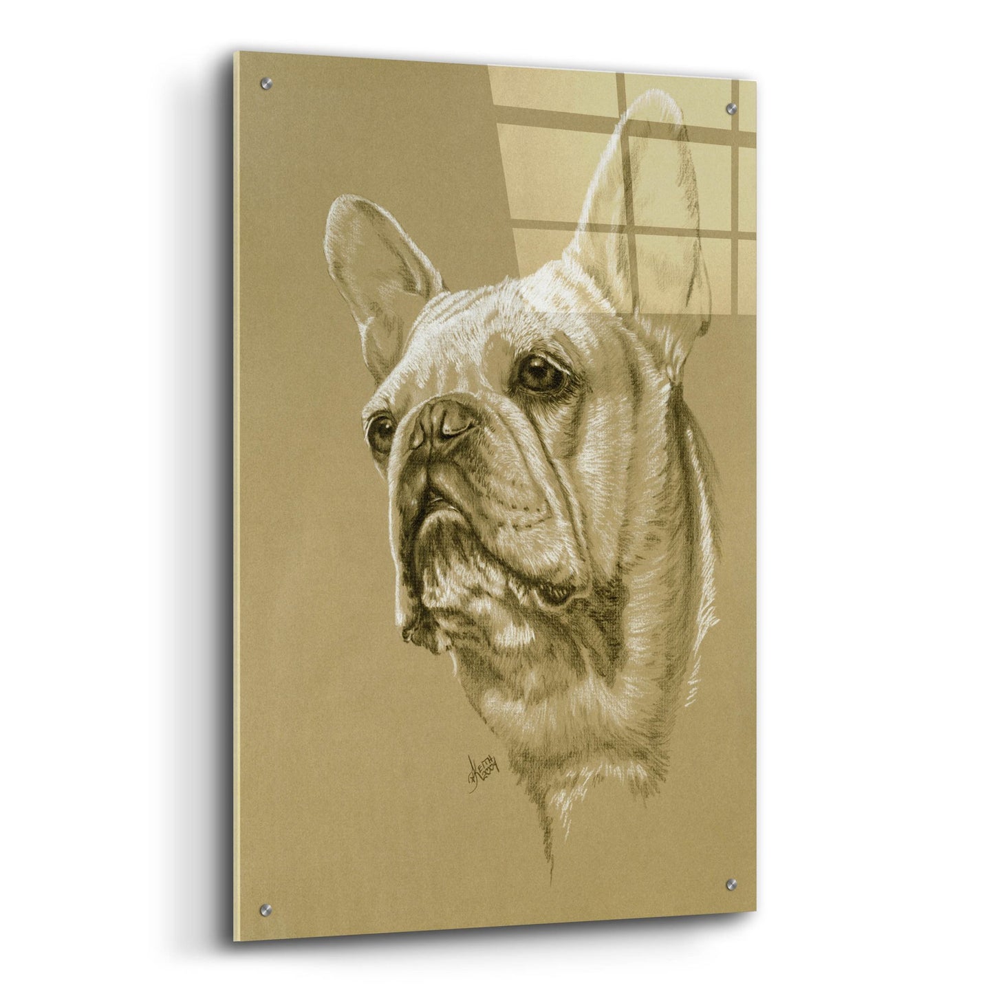 Epic Art 'French Bulldog' by Barbara Keith, Acrylic Glass Wall Art,24x36