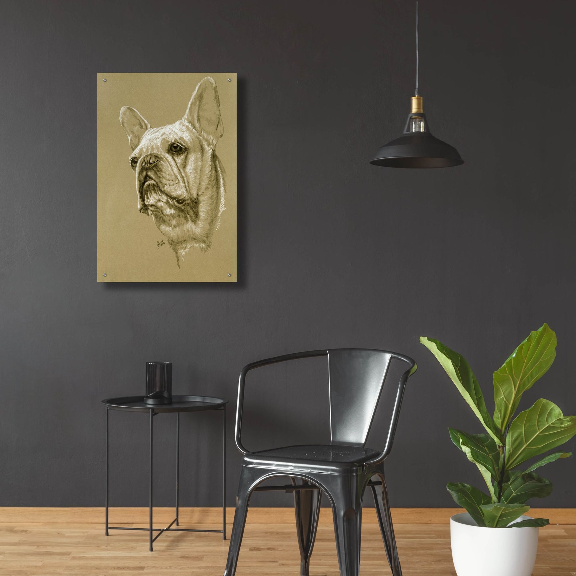 Epic Art 'French Bulldog' by Barbara Keith, Acrylic Glass Wall Art,24x36