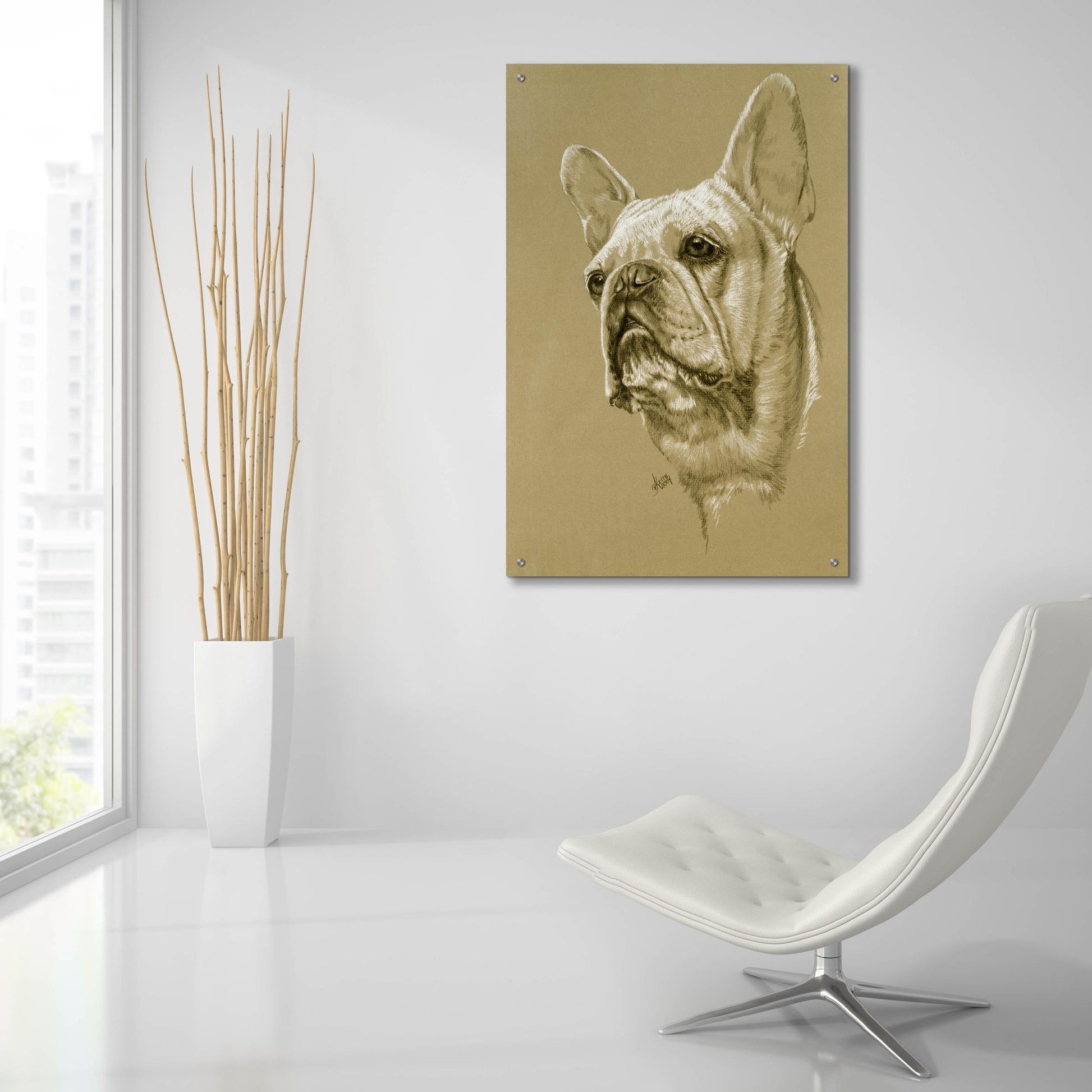 Epic Art 'French Bulldog' by Barbara Keith, Acrylic Glass Wall Art,24x36