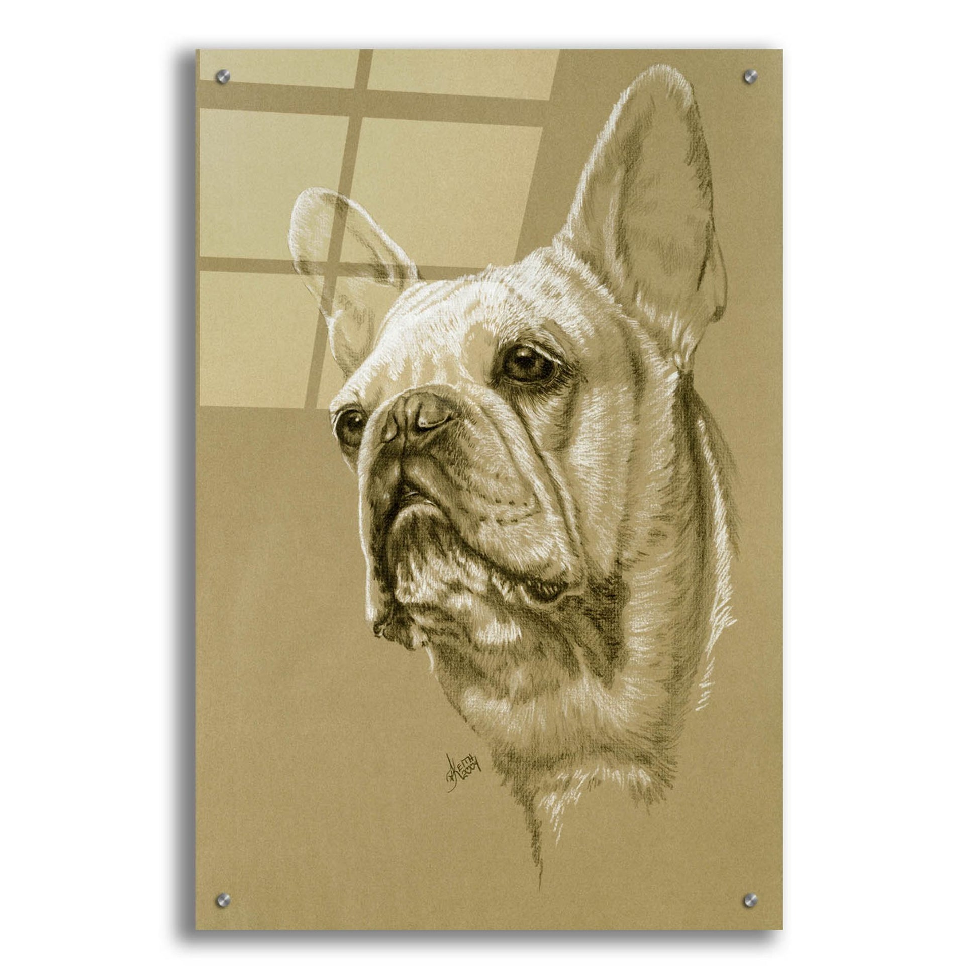 Epic Art 'French Bulldog' by Barbara Keith, Acrylic Glass Wall Art,24x36