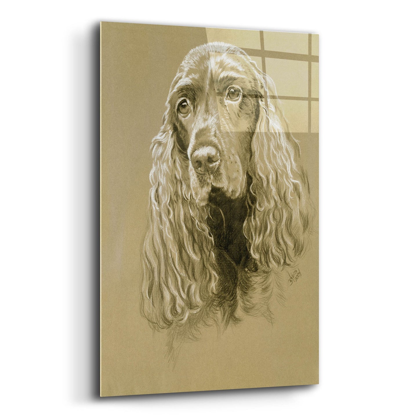 Epic Art 'Field Spaniel' by Barbara Keith, Acrylic Glass Wall Art,12x16