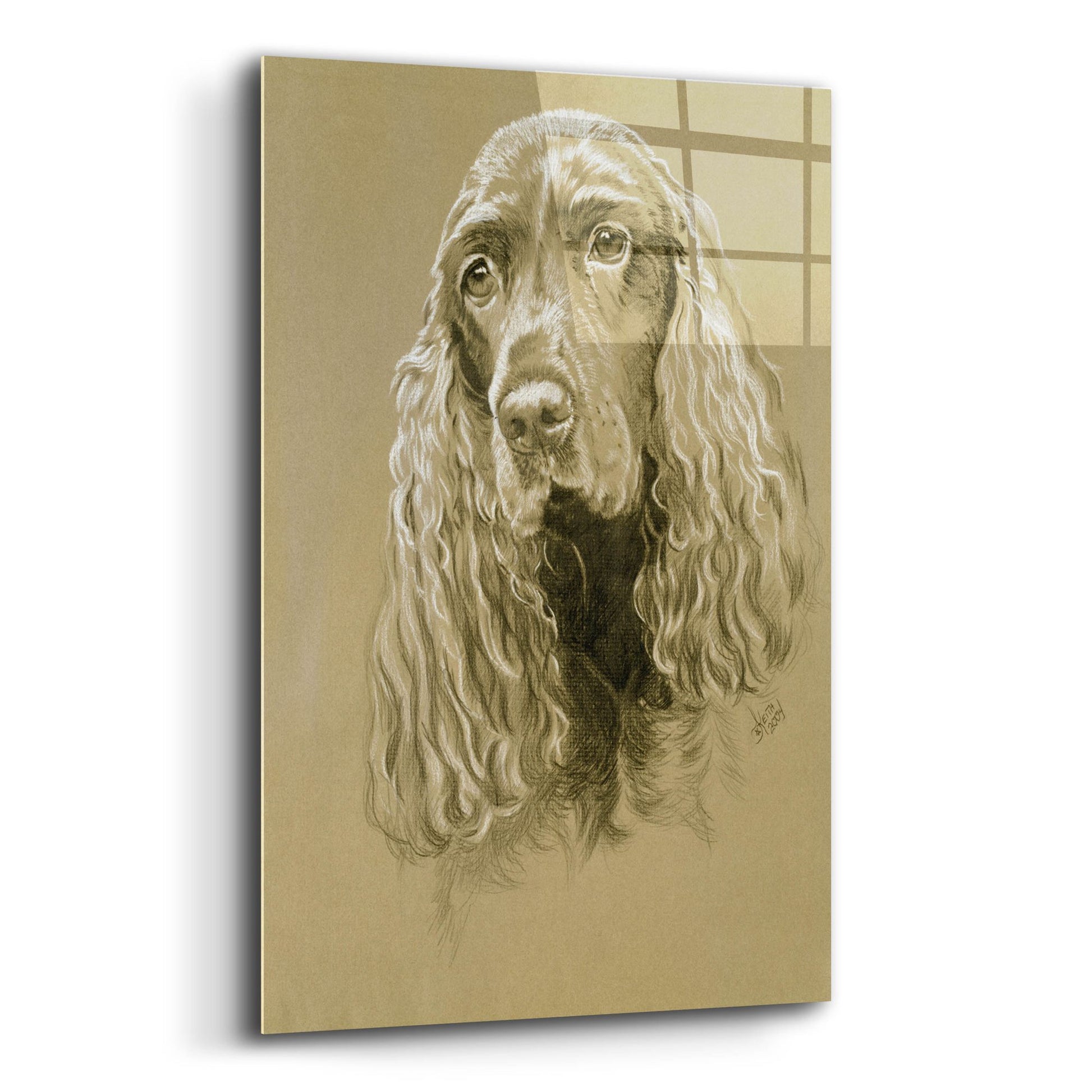 Epic Art 'Field Spaniel' by Barbara Keith, Acrylic Glass Wall Art,12x16