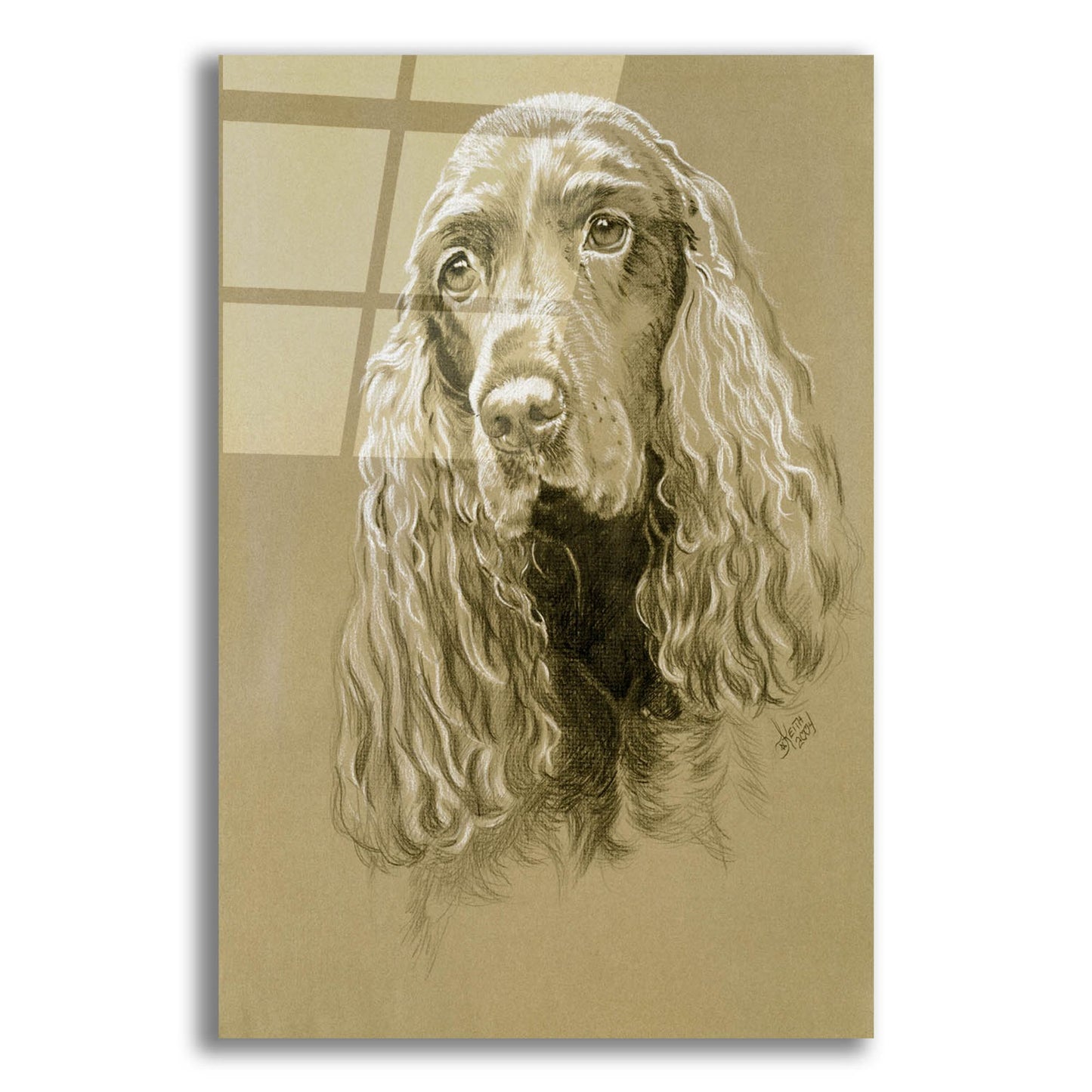 Epic Art 'Field Spaniel' by Barbara Keith, Acrylic Glass Wall Art,12x16