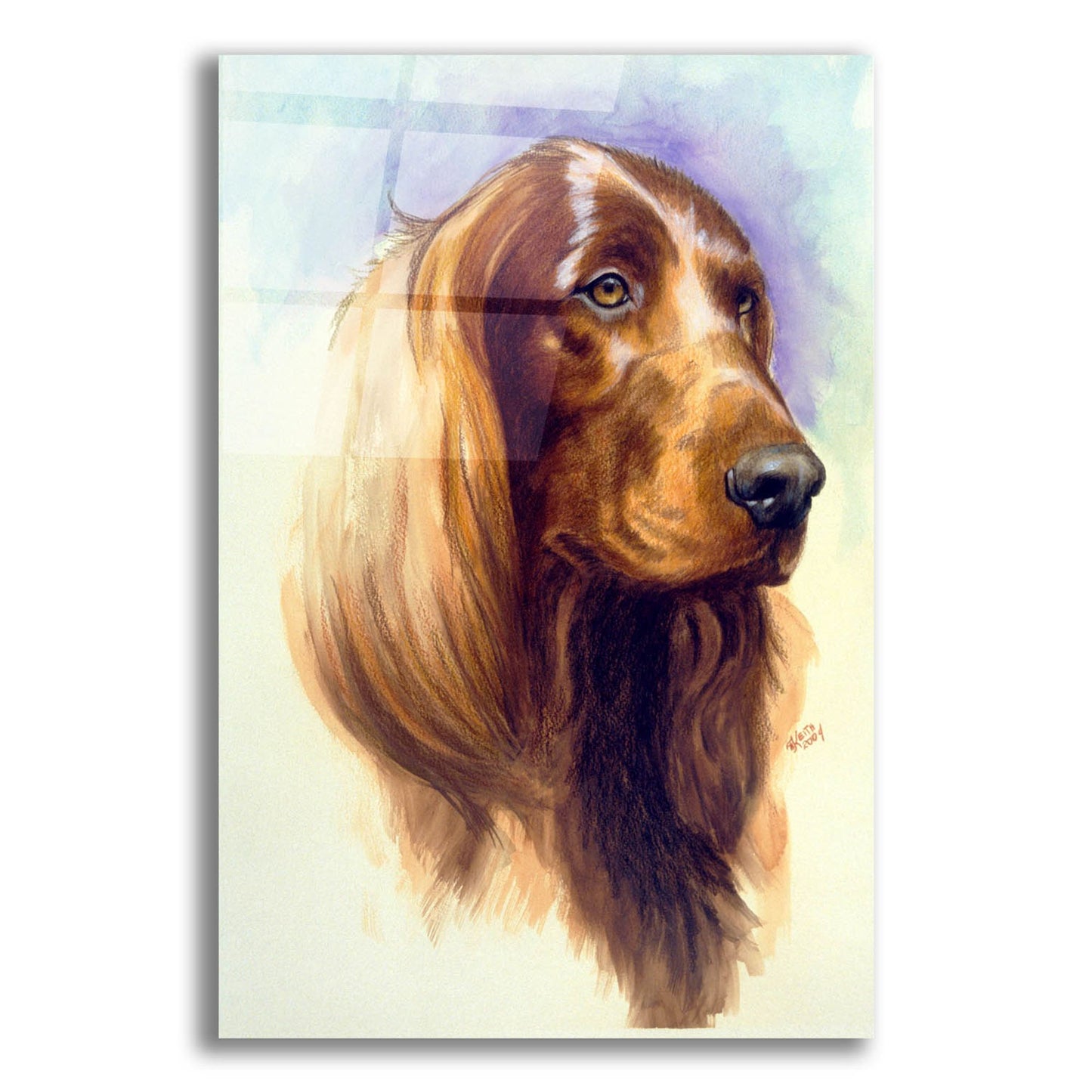 Epic Art 'Irish Setter' by Barbara Keith, Acrylic Glass Wall Art,12x16