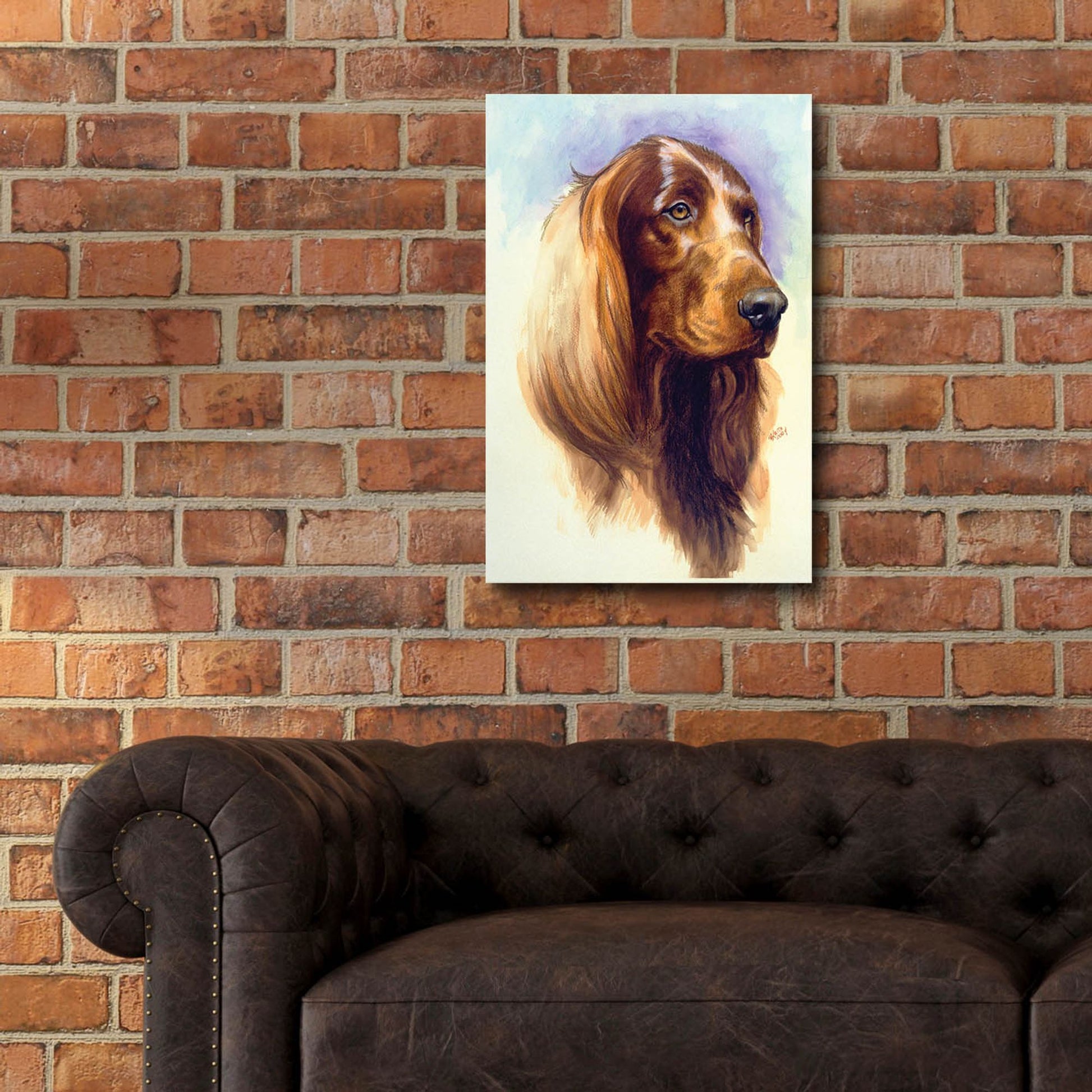 Epic Art 'Irish Setter' by Barbara Keith, Acrylic Glass Wall Art,16x24