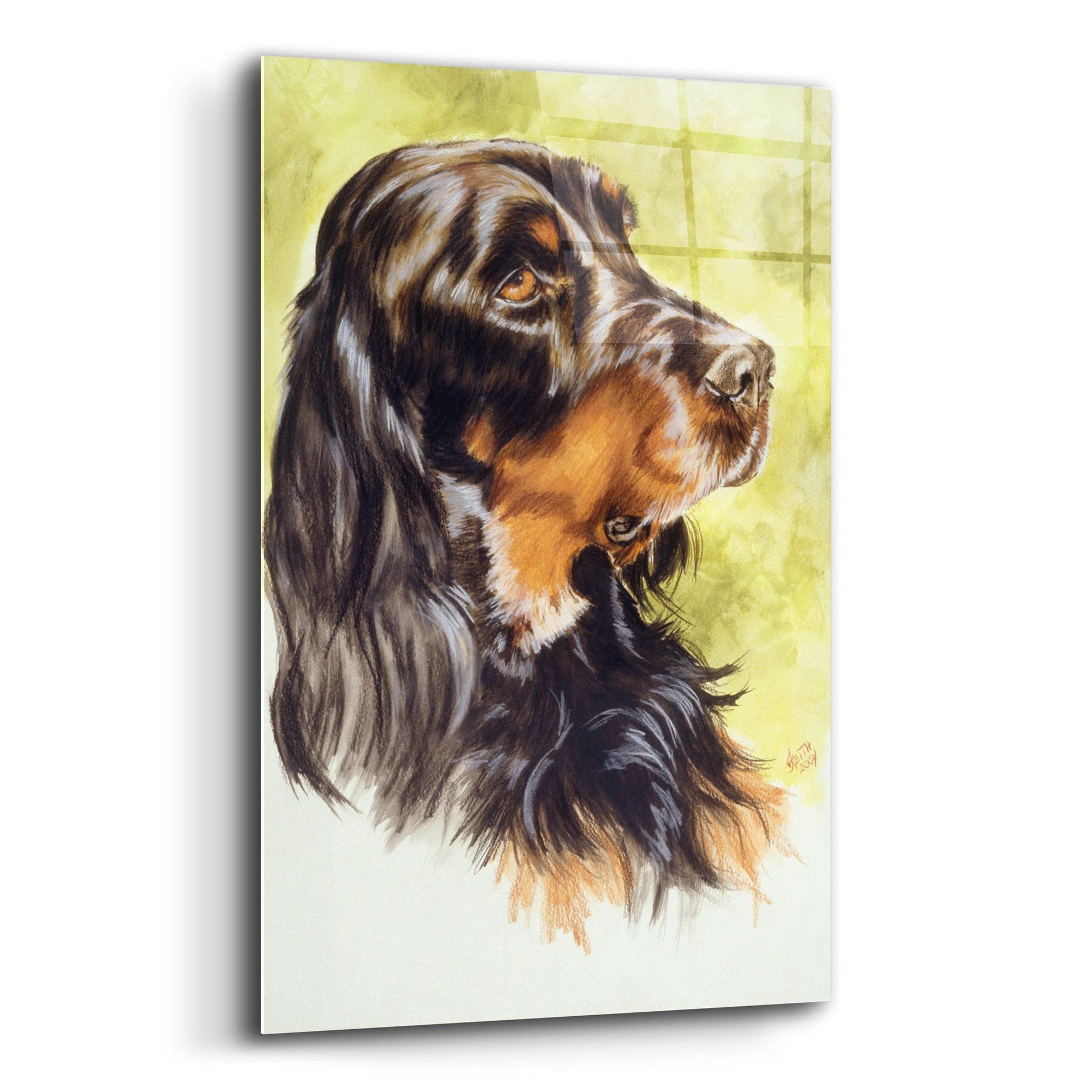 Epic Art 'Gordon Setter' by Barbara Keith, Acrylic Glass Wall Art,12x16