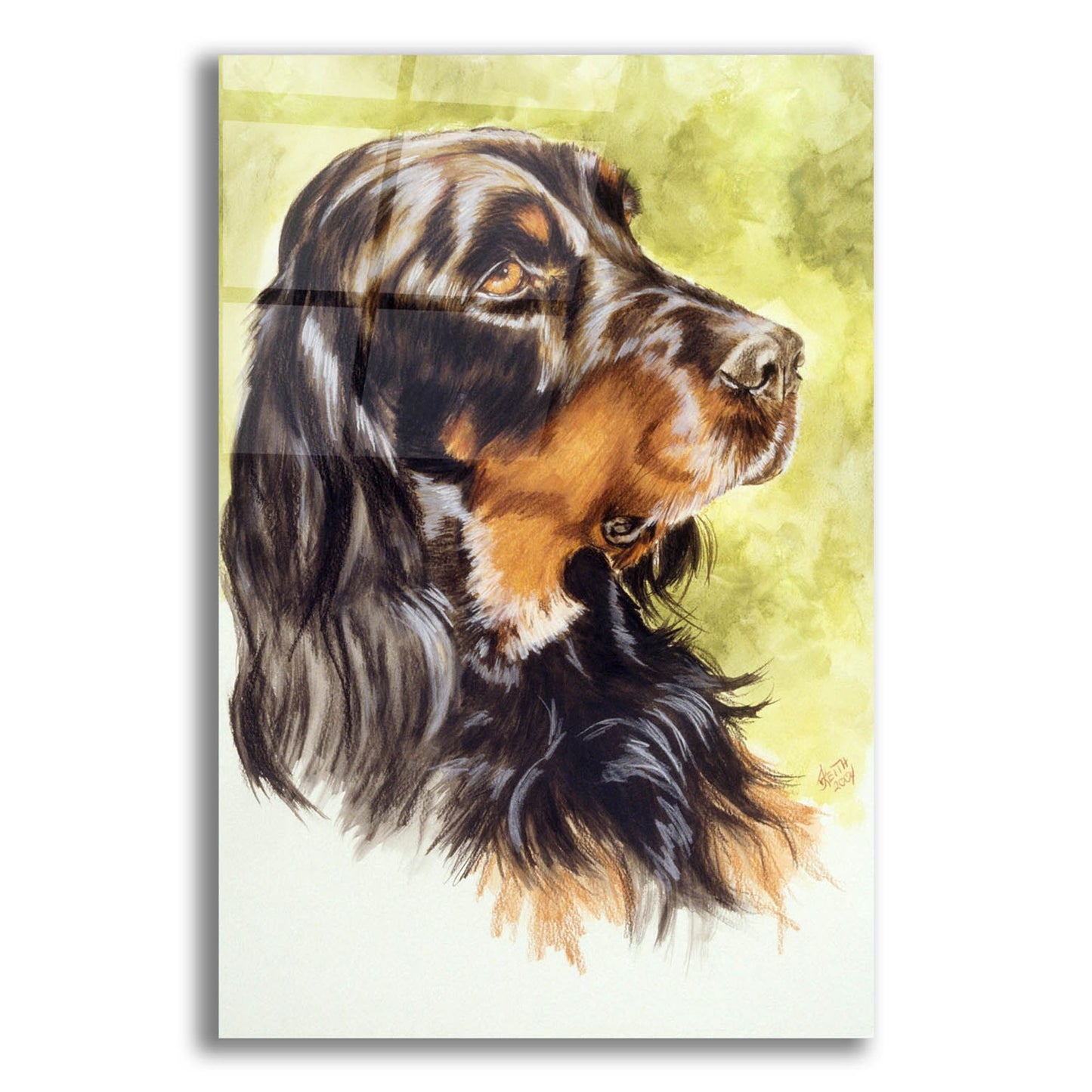 Epic Art 'Gordon Setter' by Barbara Keith, Acrylic Glass Wall Art,12x16